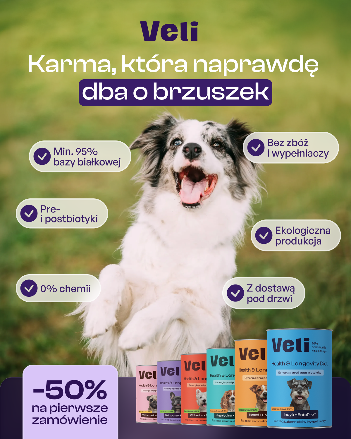 VeliPet Facebook ad