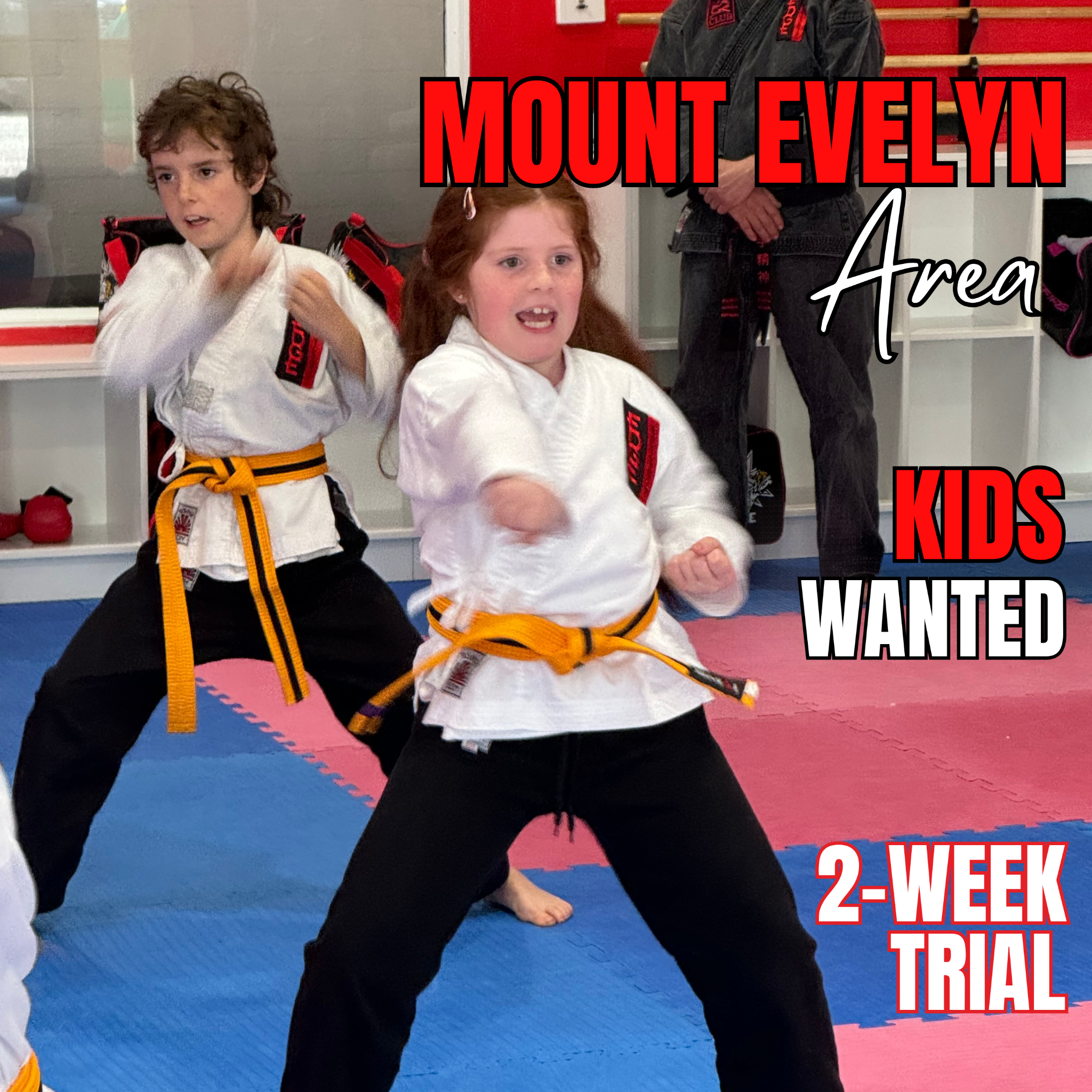Edge Martial Arts Pty Ltd Facebook ad