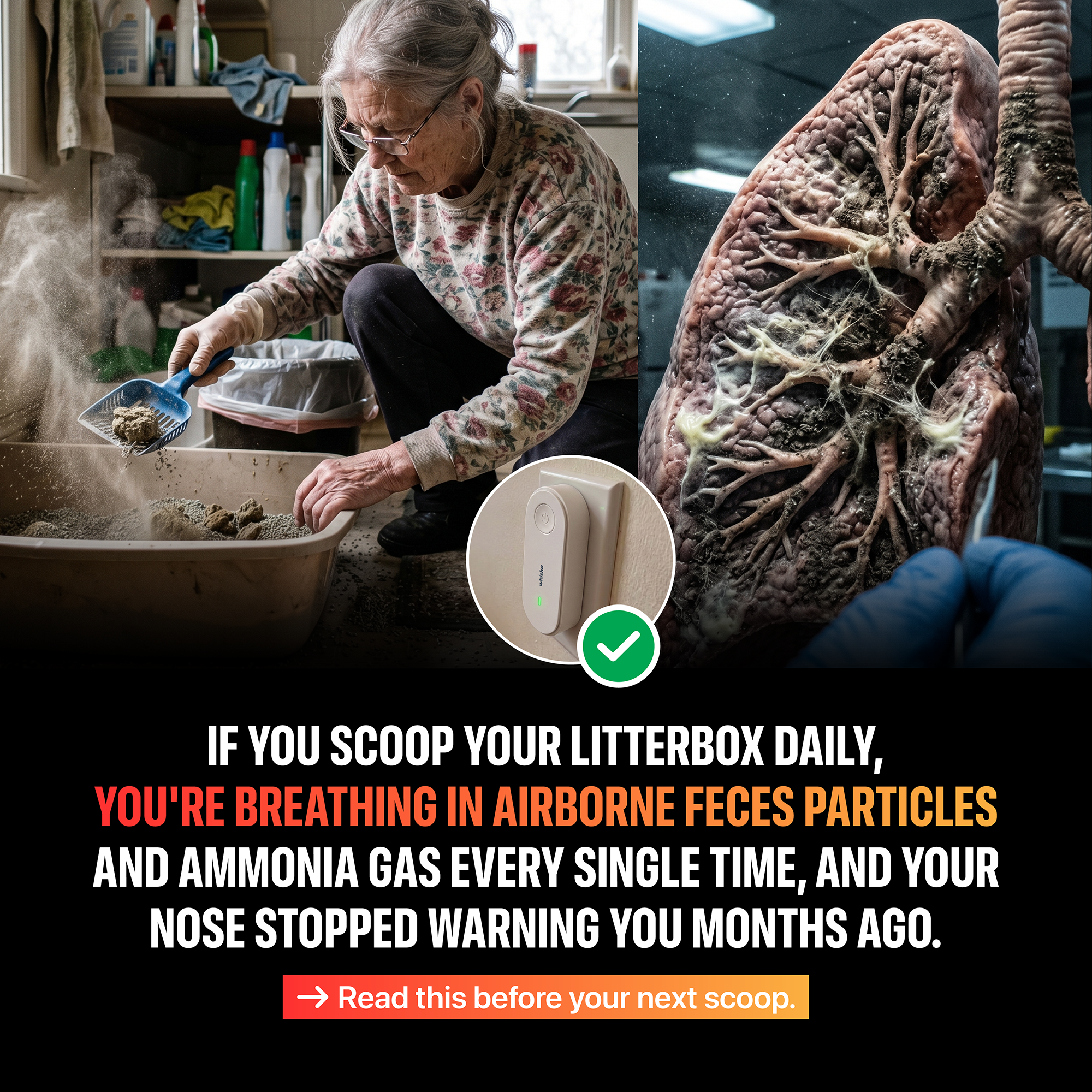 Cat Tips Daily Facebook ad