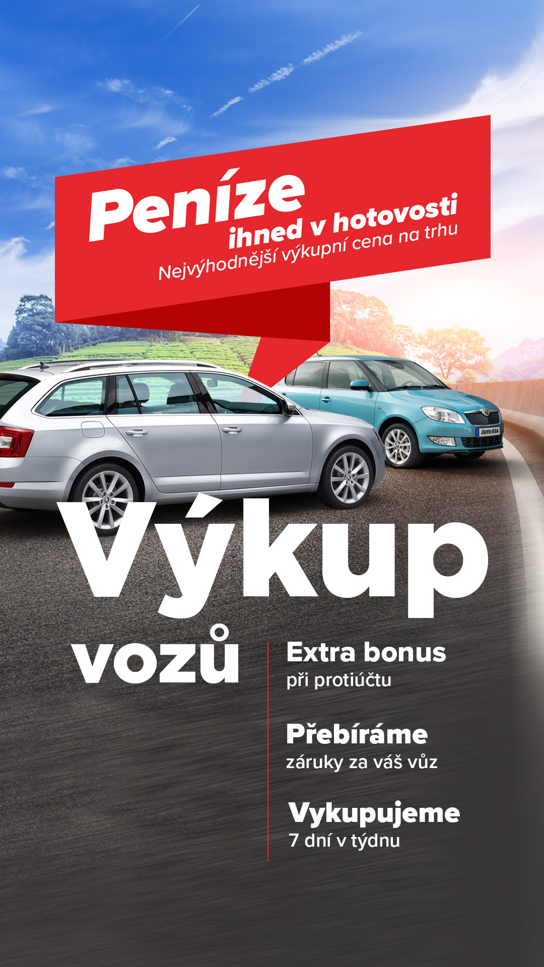 Auto ESA ad creative