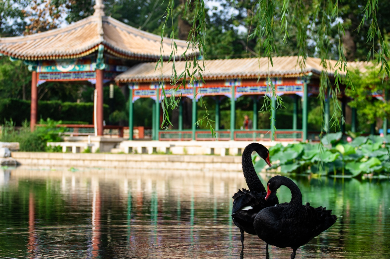 Tsinghua University Facebook ad: Tsinghua University is a research university located in…