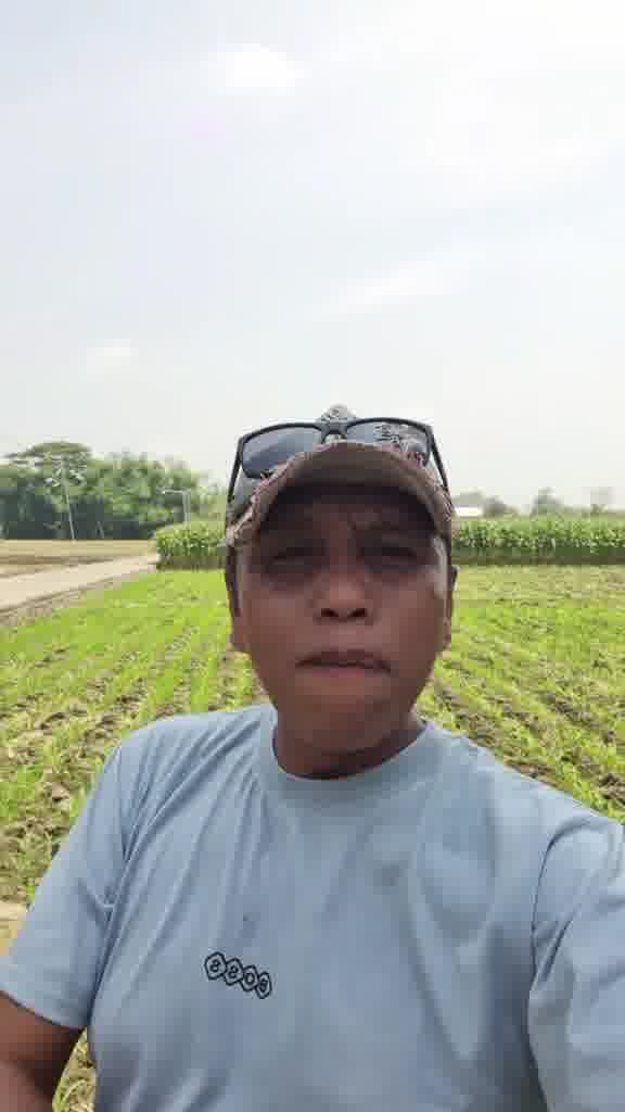 Goodbye Galau, Goodbye GERD Facebook ad: Solusi Ampuh Tanpa Maag