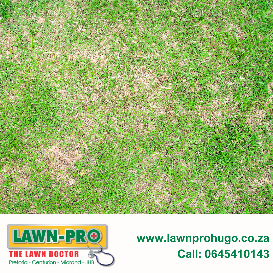 Lawnpro Hugo Facebook ad