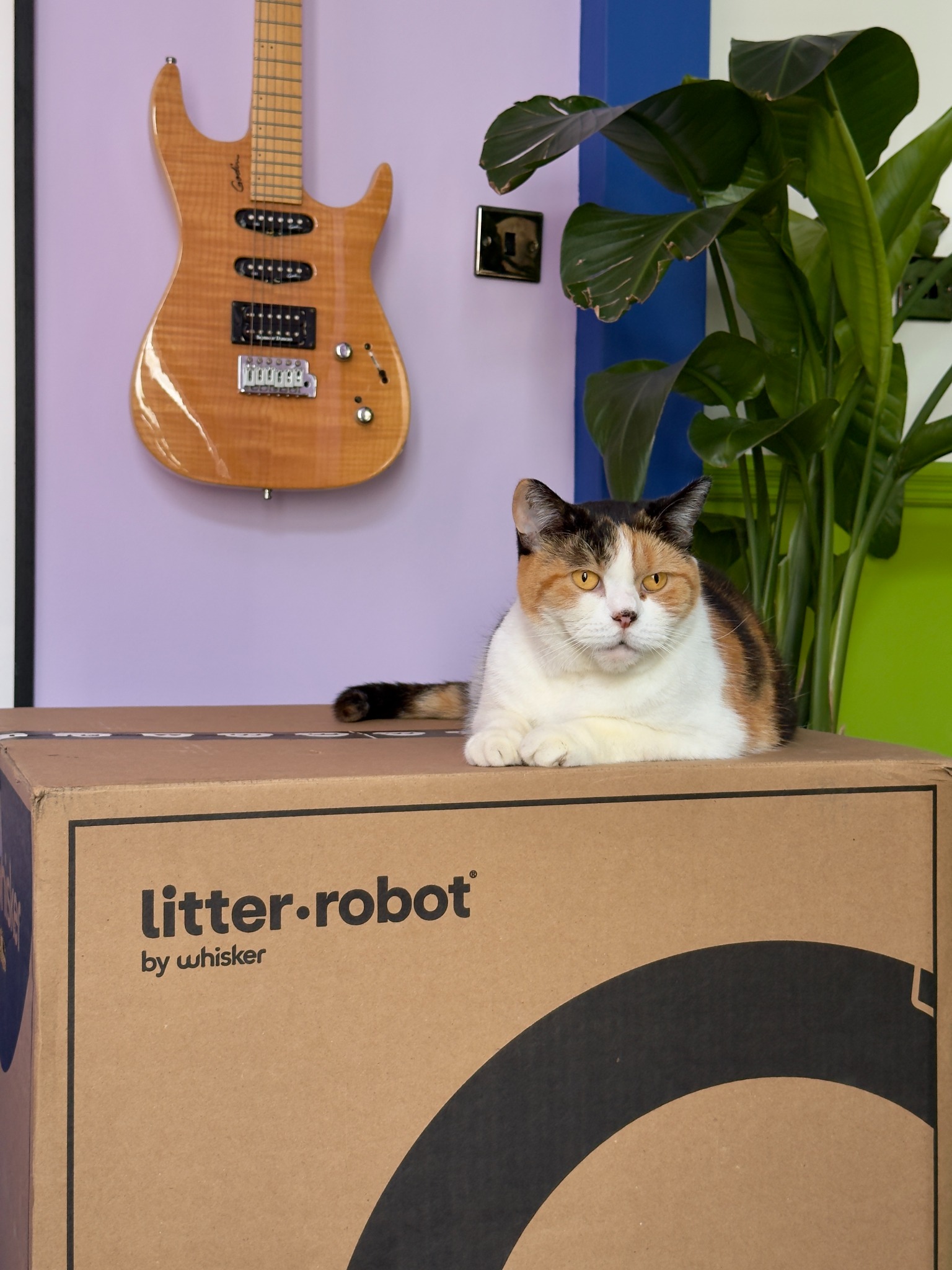 Litter-Robot by Whisker Facebook ad