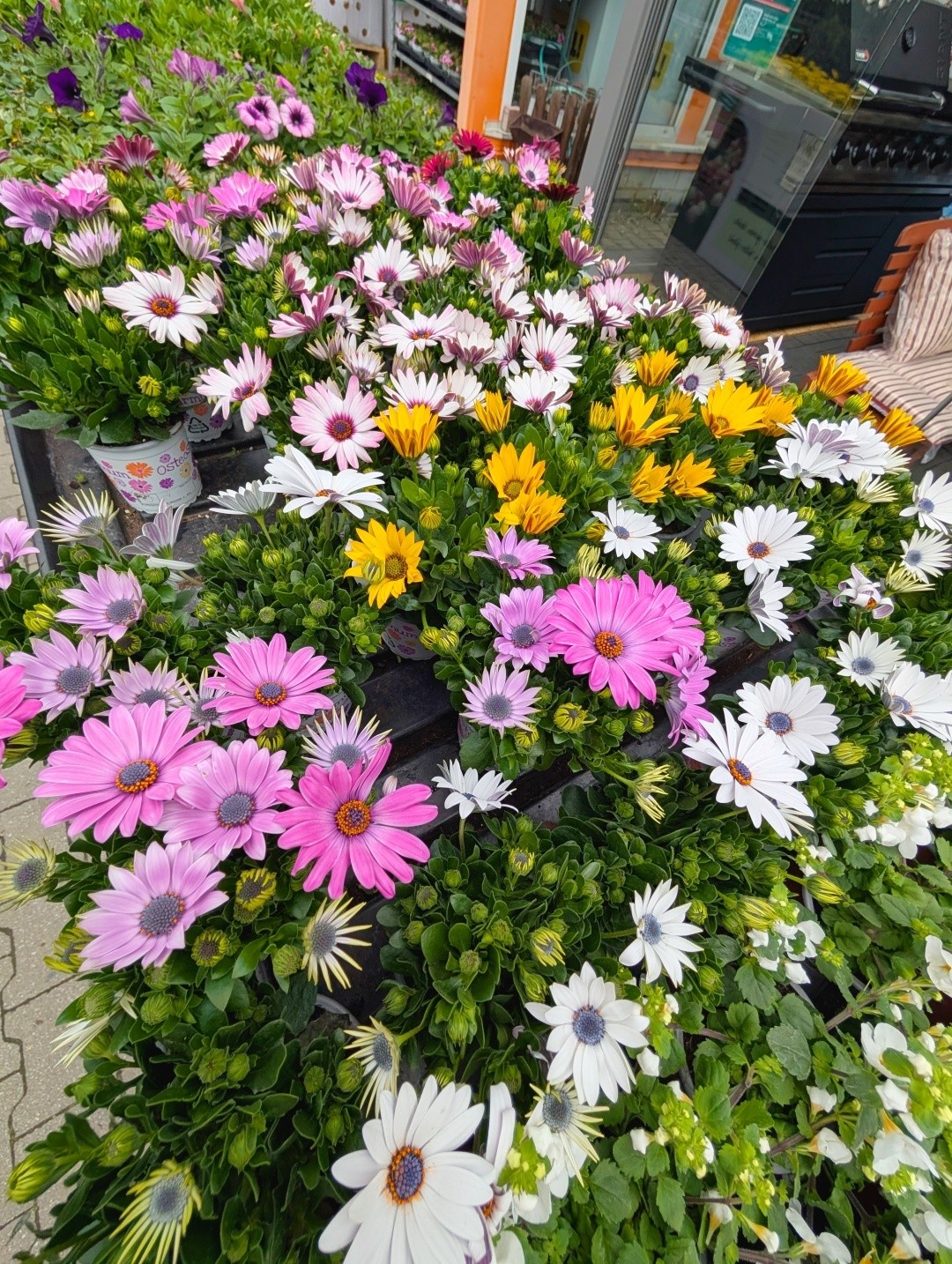 Hagebau kompakt Przygode Vetschau Facebook ad: Dein Garten hat auf diesen Moment gewartet!