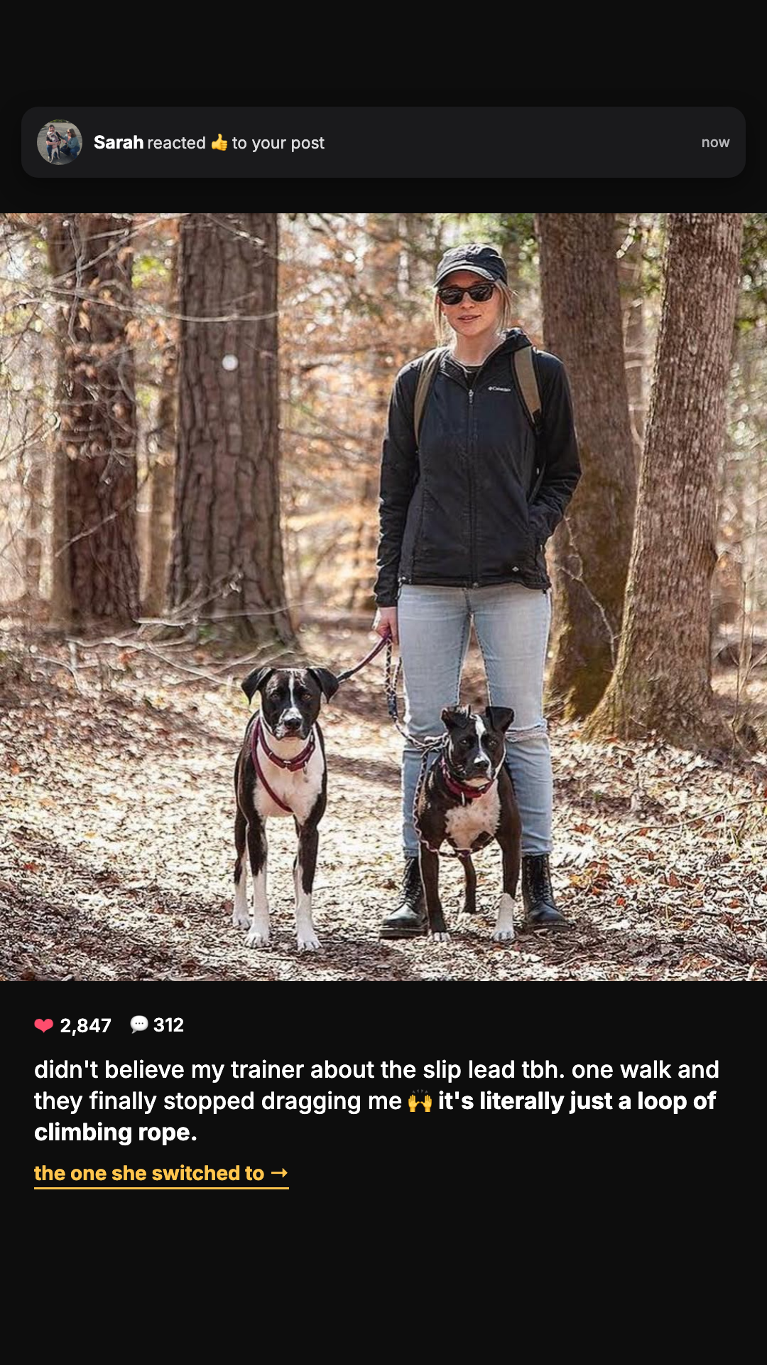 Mountain Dog Products Facebook ad