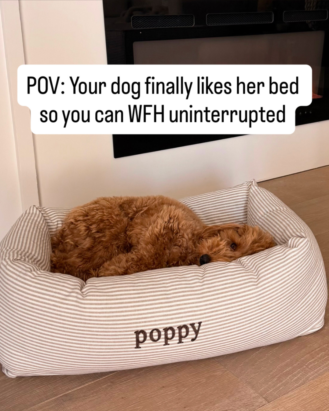 The Foggy Dog Facebook ad