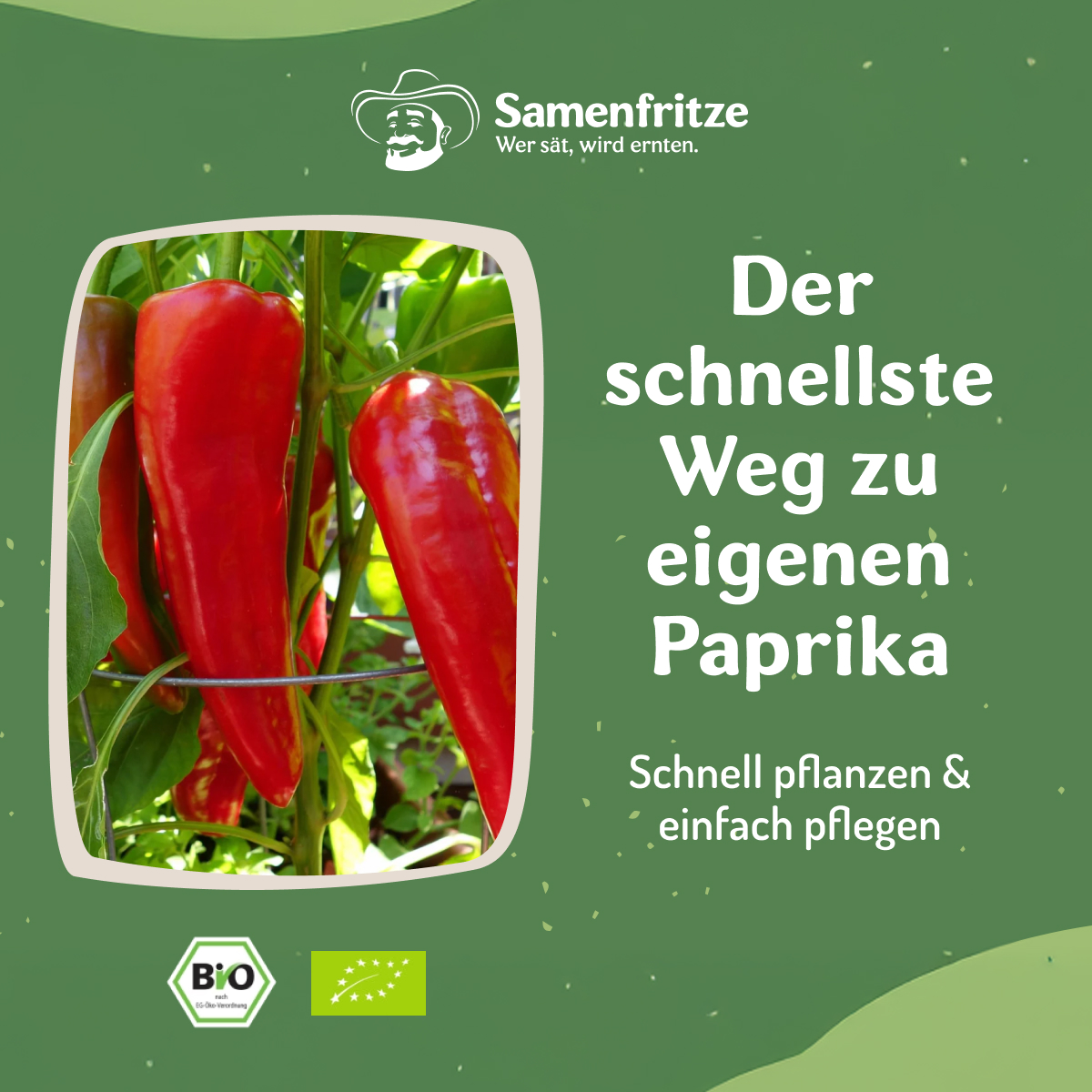 Samenfritze Facebook ad
