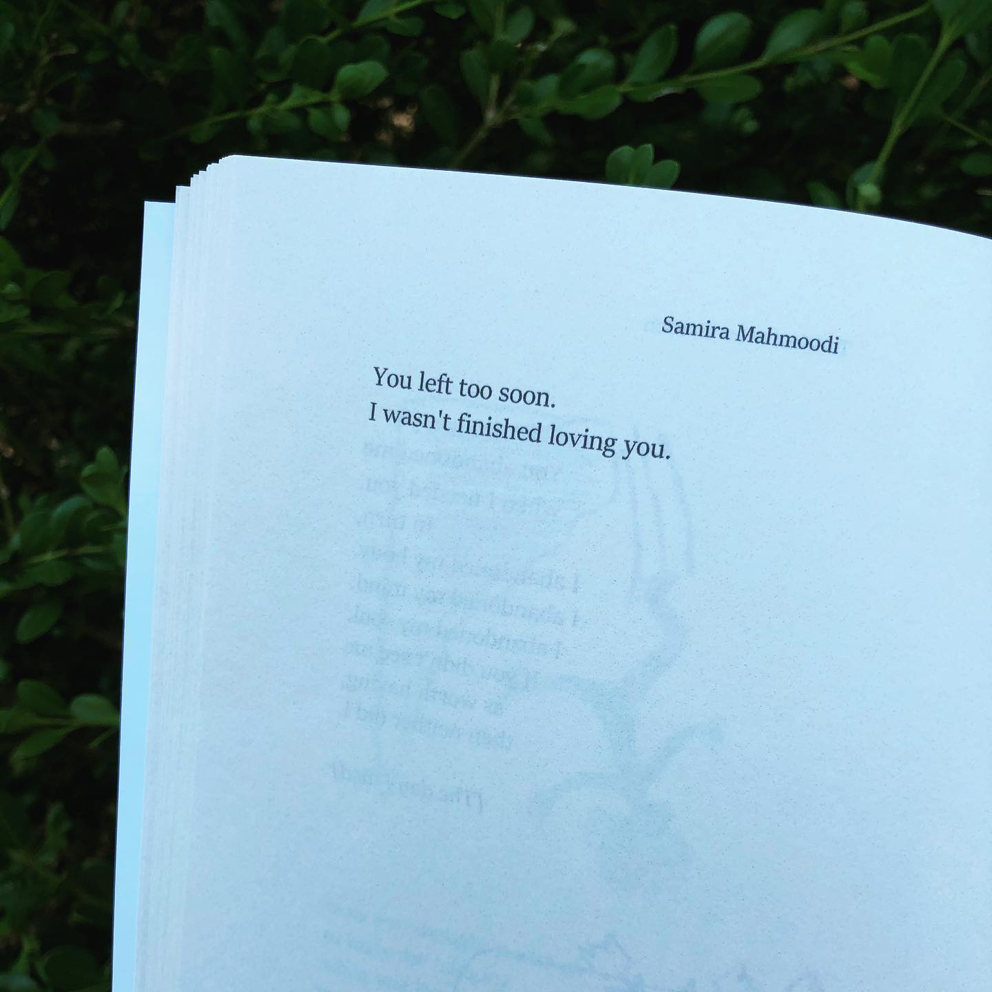 Samira Mahmoodi - Author Facebook ad: This poem from has become really popular.
