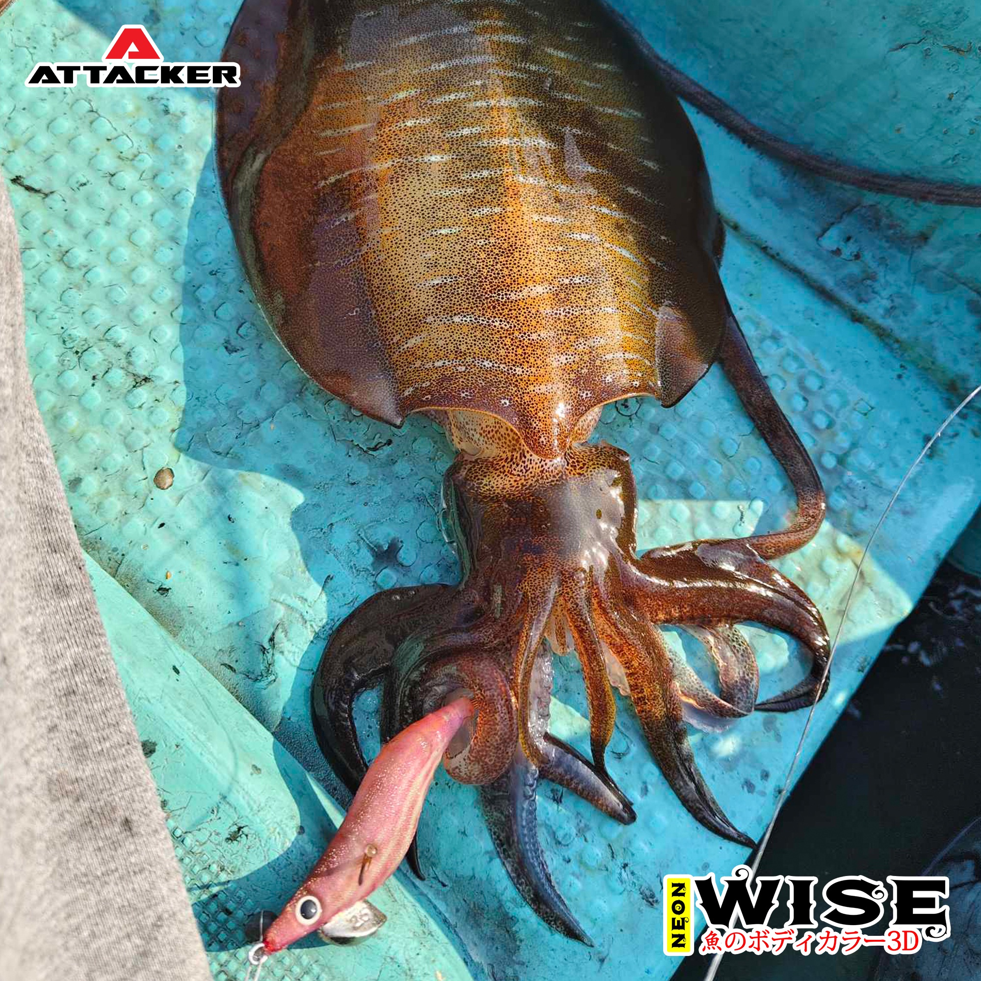 Fishing.Attacker Facebook ad: สายหมึกต้องโดน!