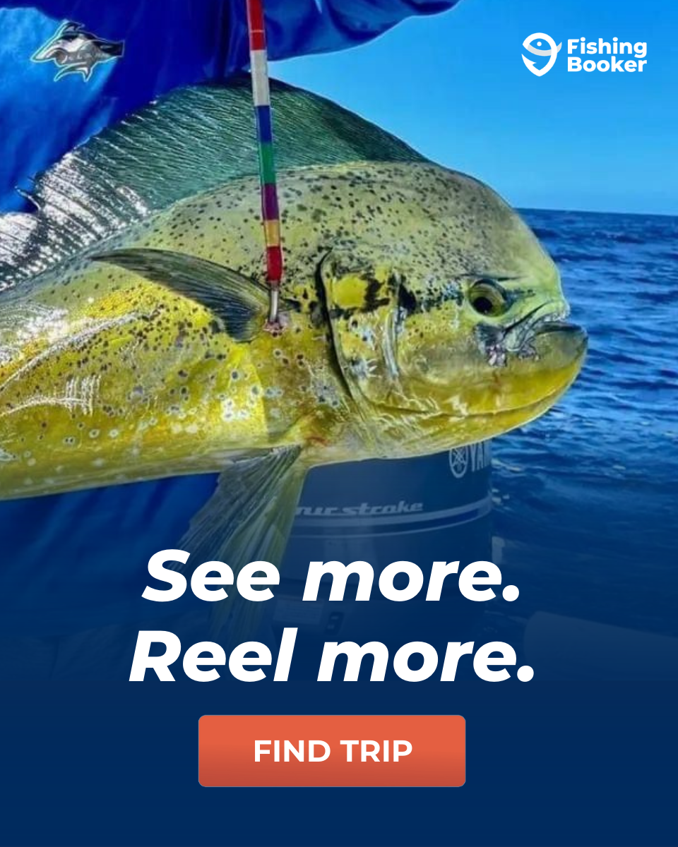 FishingBooker Facebook ad