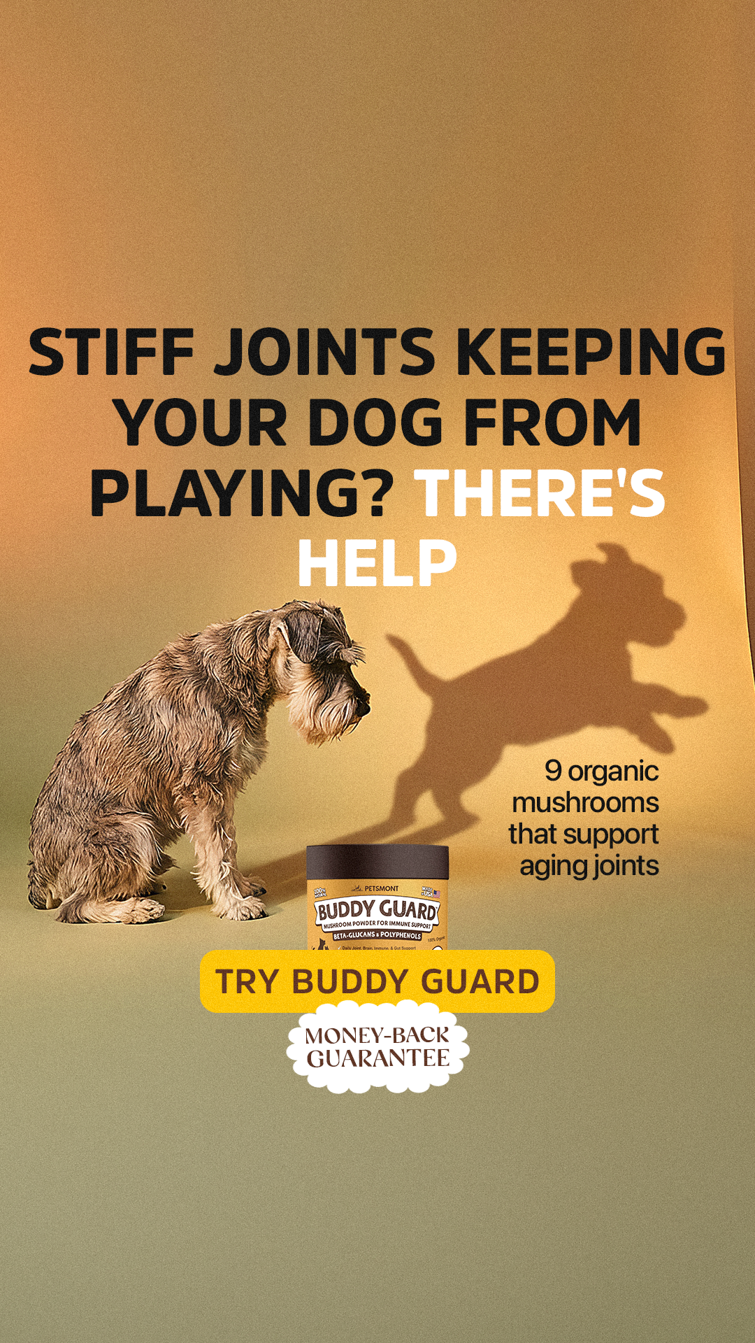 Well Pup Life Facebook ad
