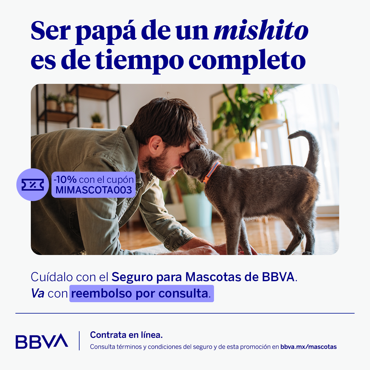 BBVA Seguros México Facebook ad: Un seguro para el día a día