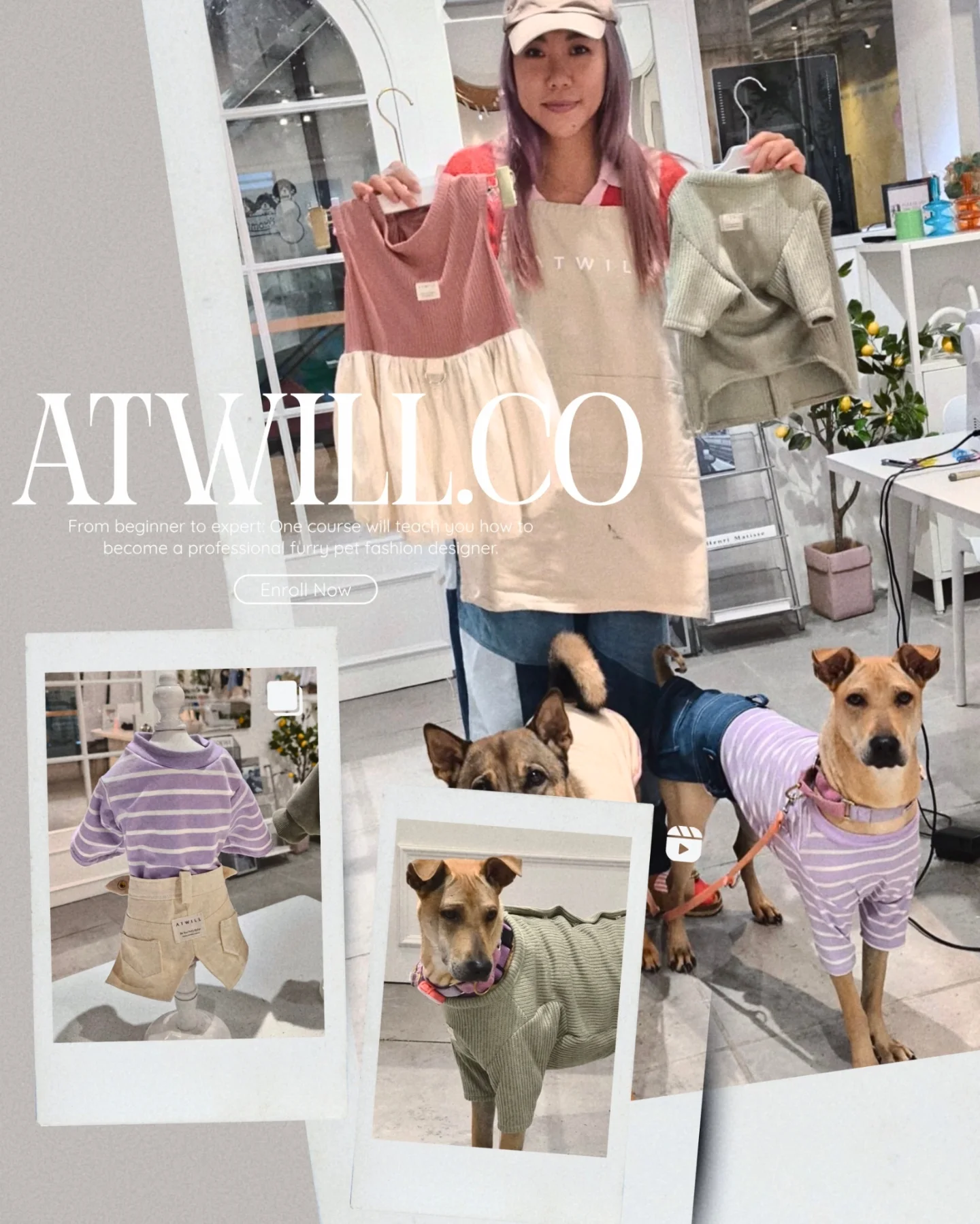 香港寵物時裝設計專業學院 Atwill.co Facebook ad: 想踏入寵物時裝世界,但又怕投資太多?