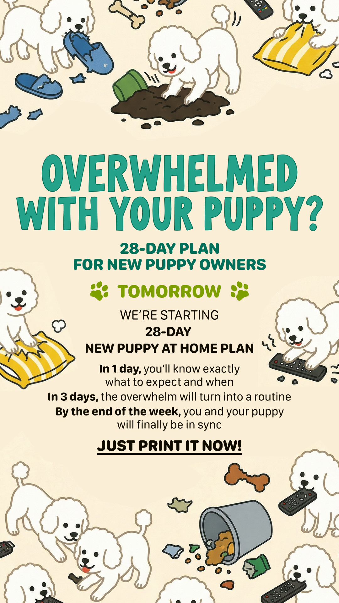 Woofz - Puppy Training Facebook ad