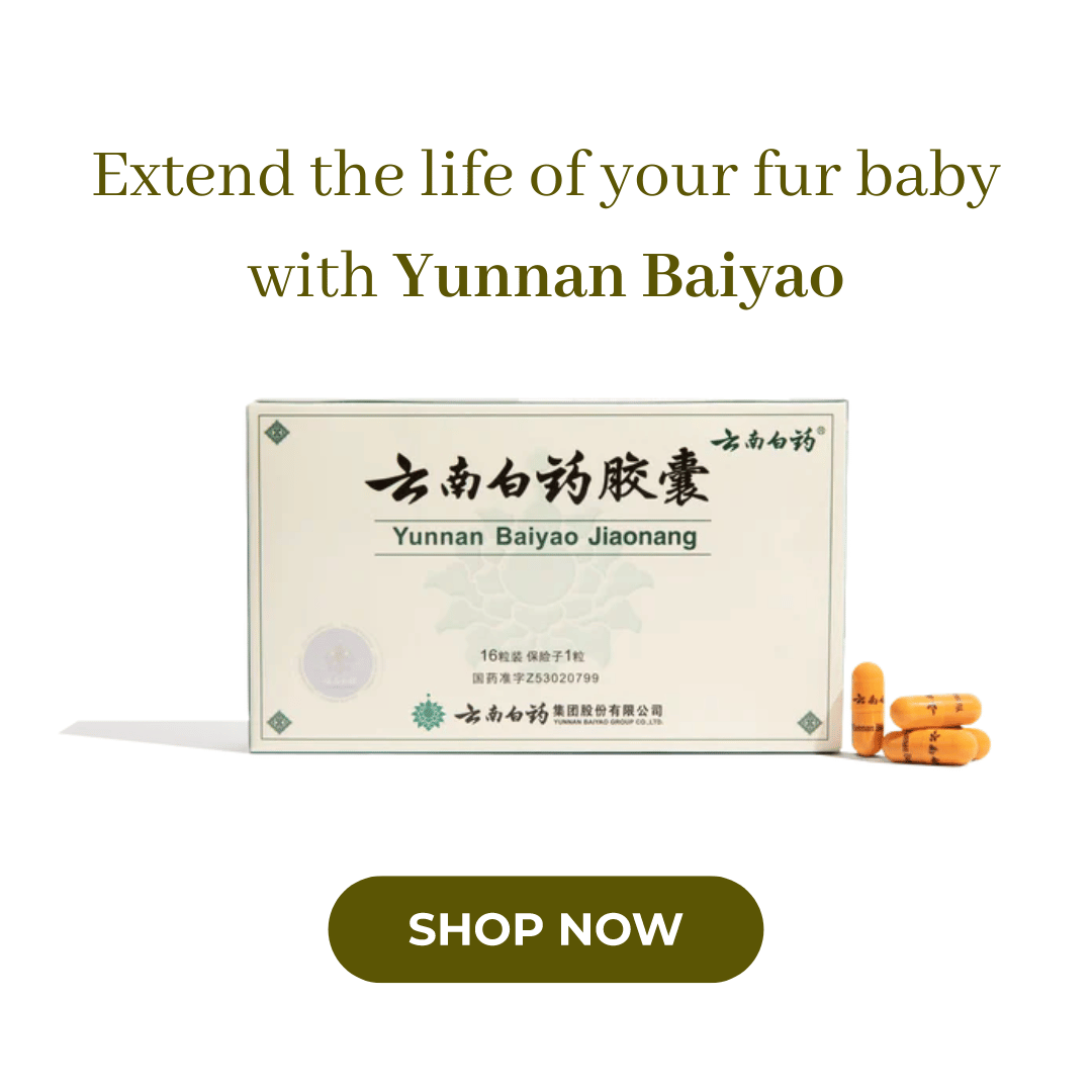 Best Chinese Medicines Facebook ad: Give Your Dog the Support They Deserve