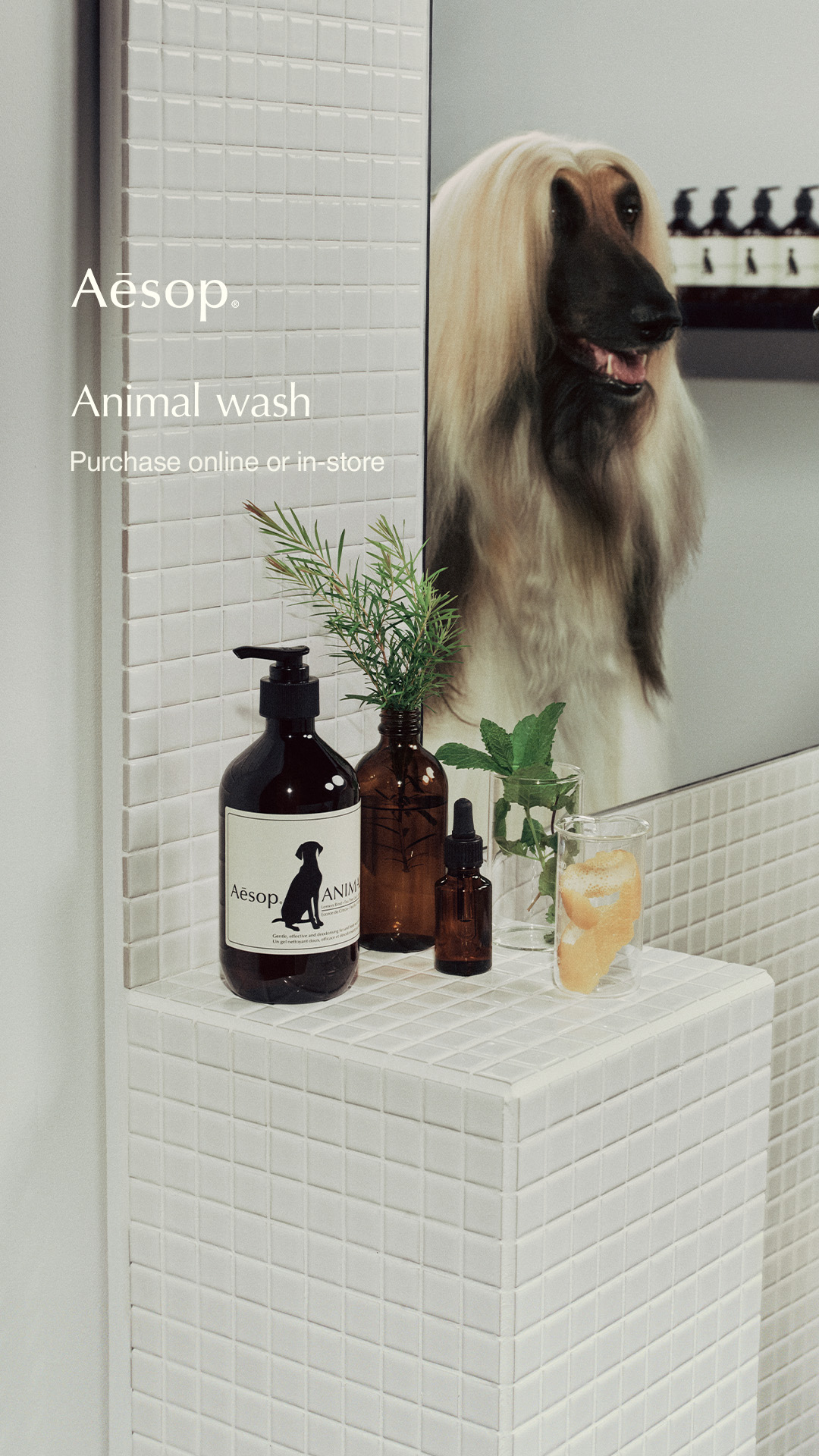 Aesop Facebook ad