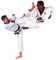PUMA Martial Arts in Swindon, Bath, Newbury and Yate