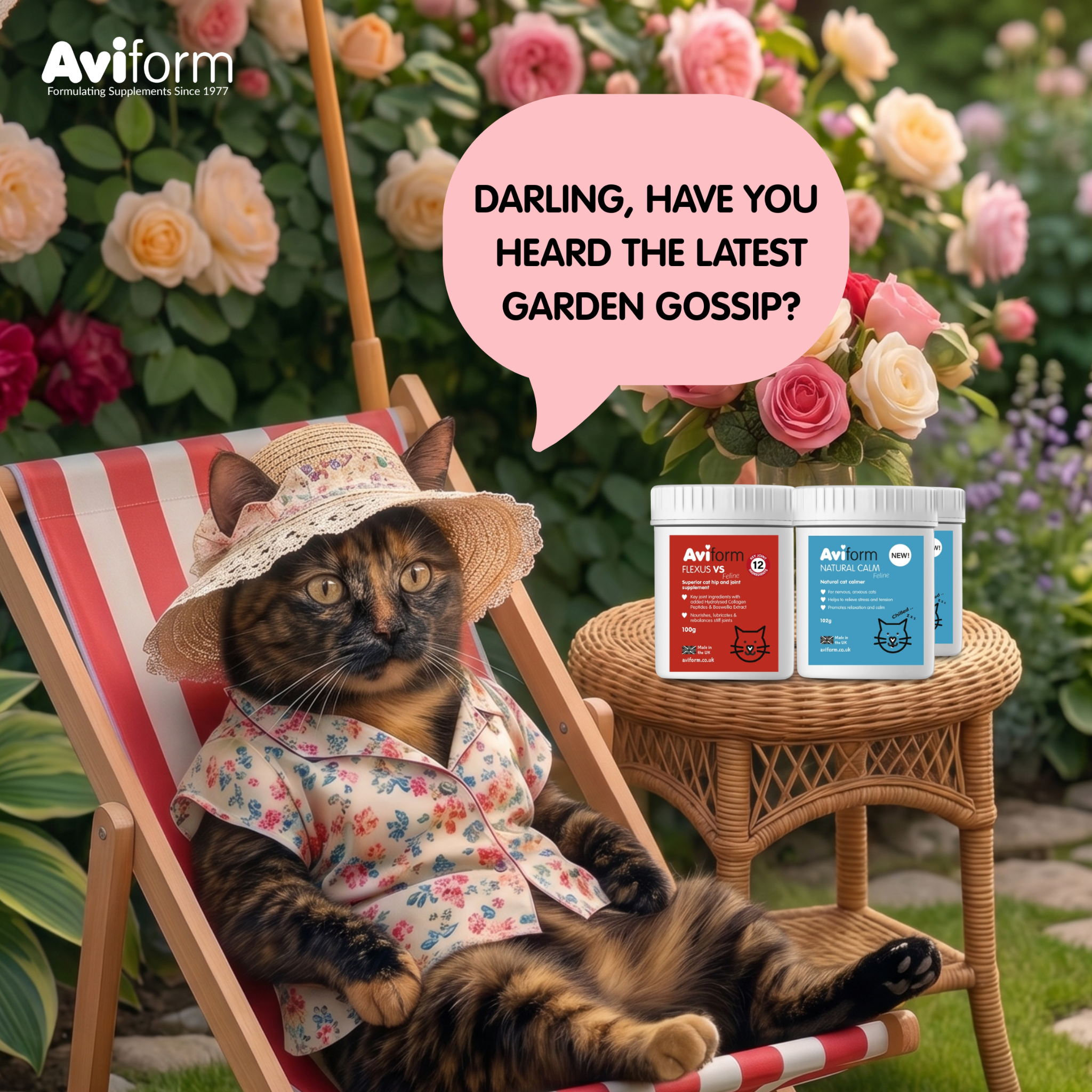 Aviform Nutrition UK - Horse & Dog Facebook ad
