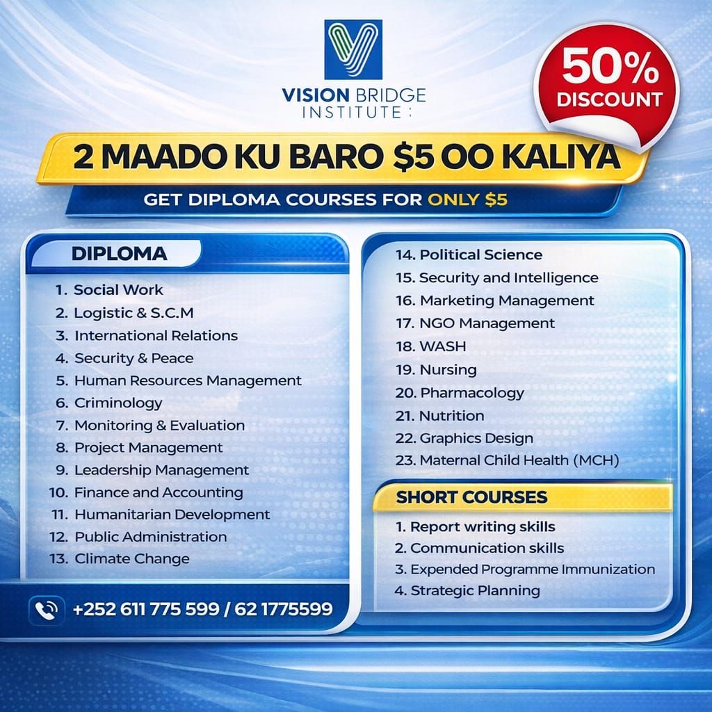 Vision Bridge Institute Facebook ad