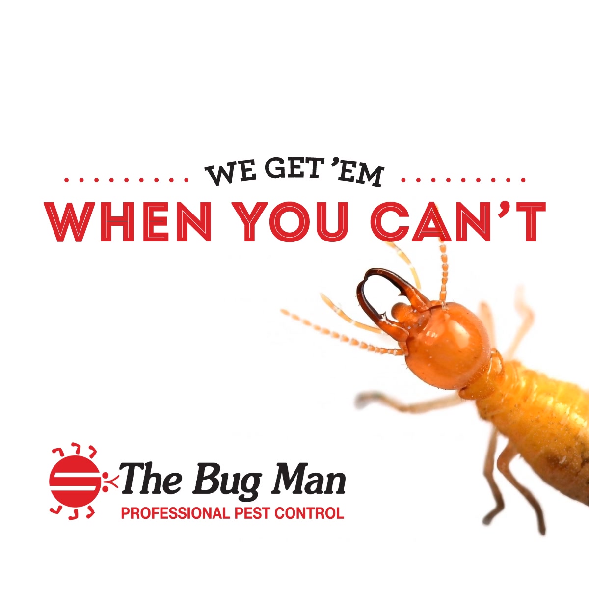The Bug Man Professional Pest Control Facebook ad