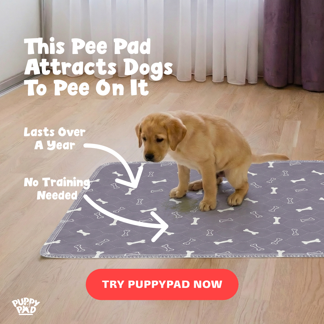 PuppyPad Facebook ad