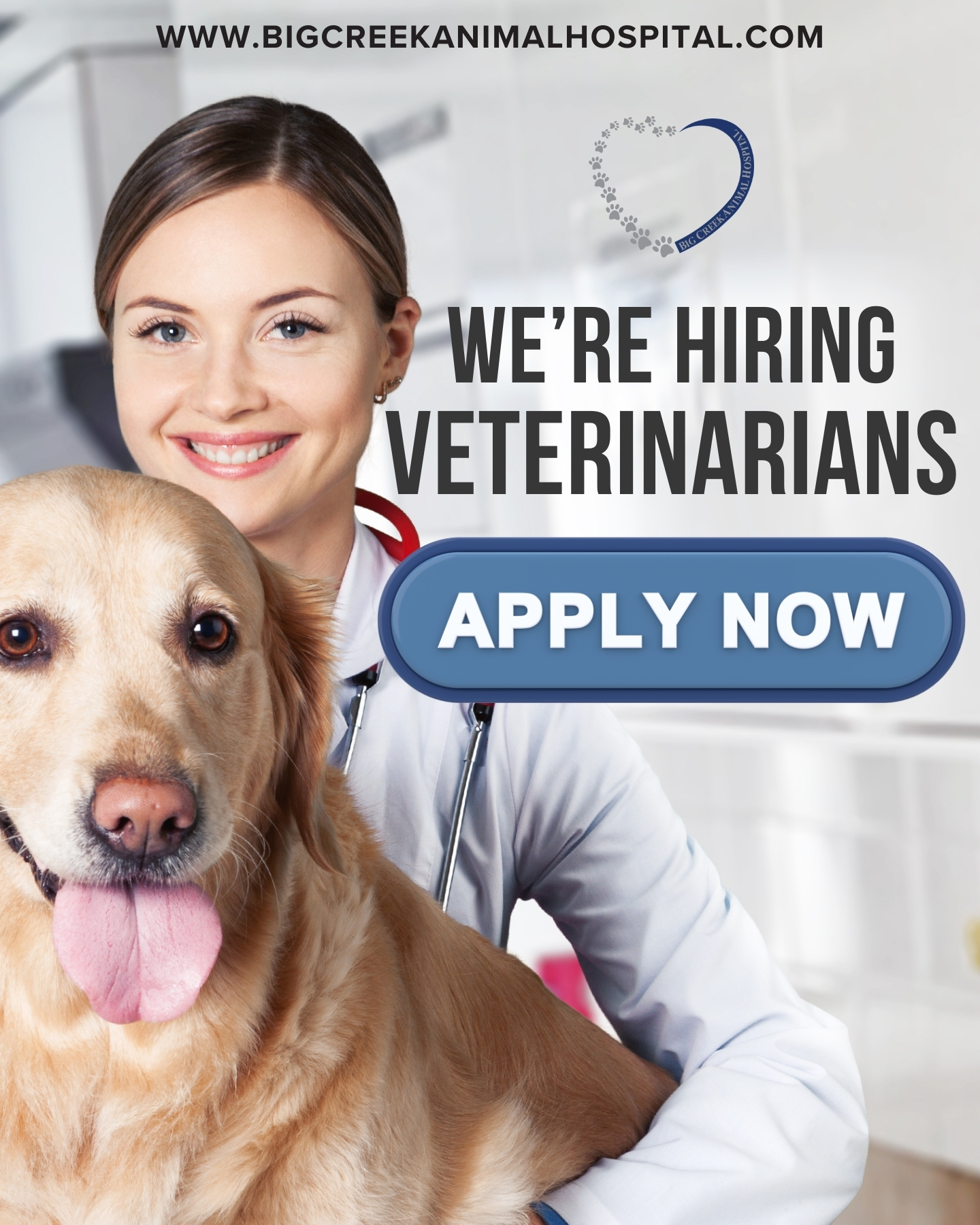 Big Creek Animal Hospital Facebook ad from Jun 30, 2026