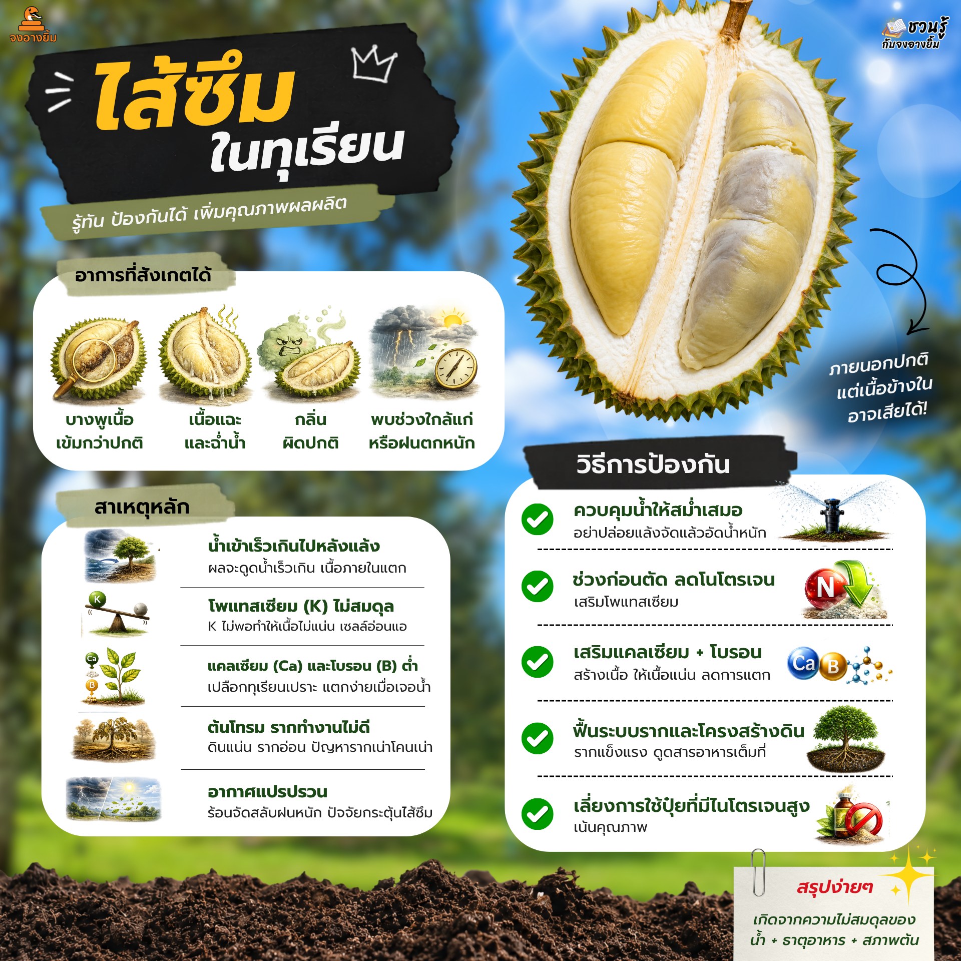 ปุ๋ย ตรา จงอางยิ้ม - เพจหลักบริษัท Facebook ad: ไส้ซึมในทุเรียน