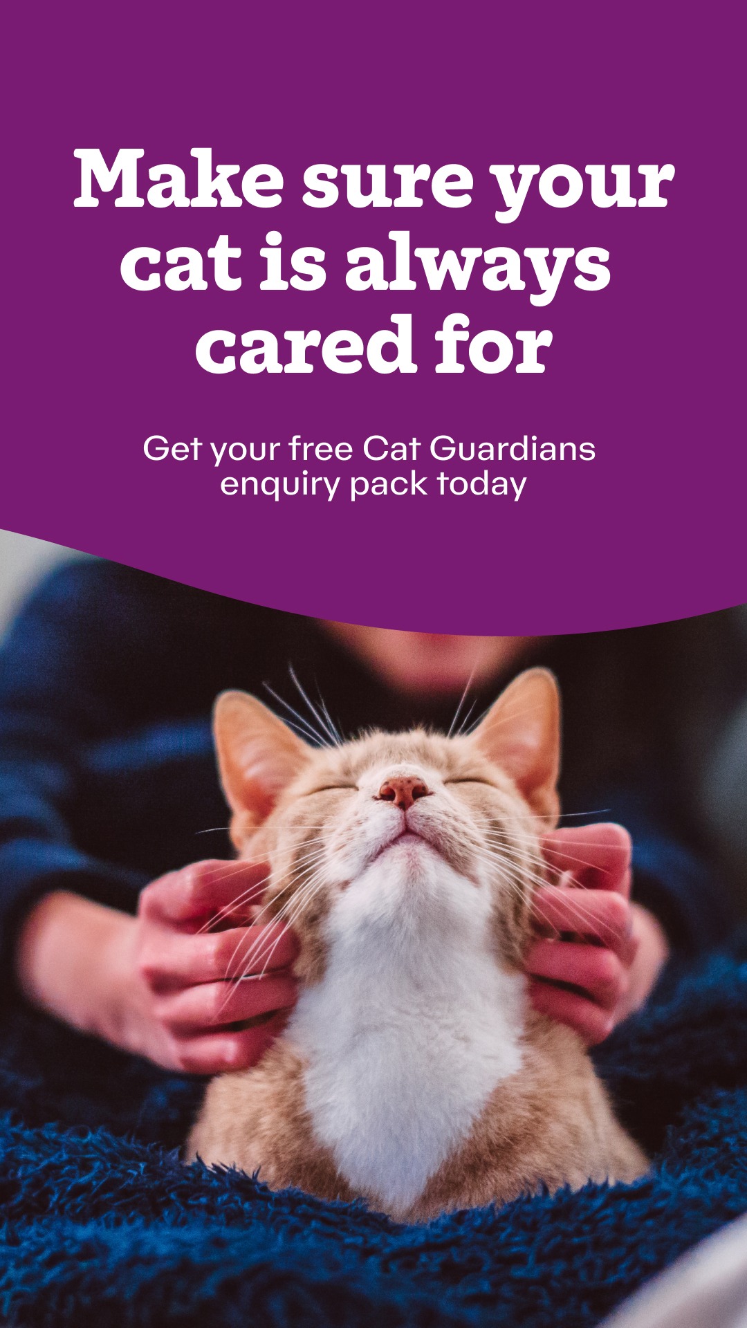 Cats Protection Facebook ad