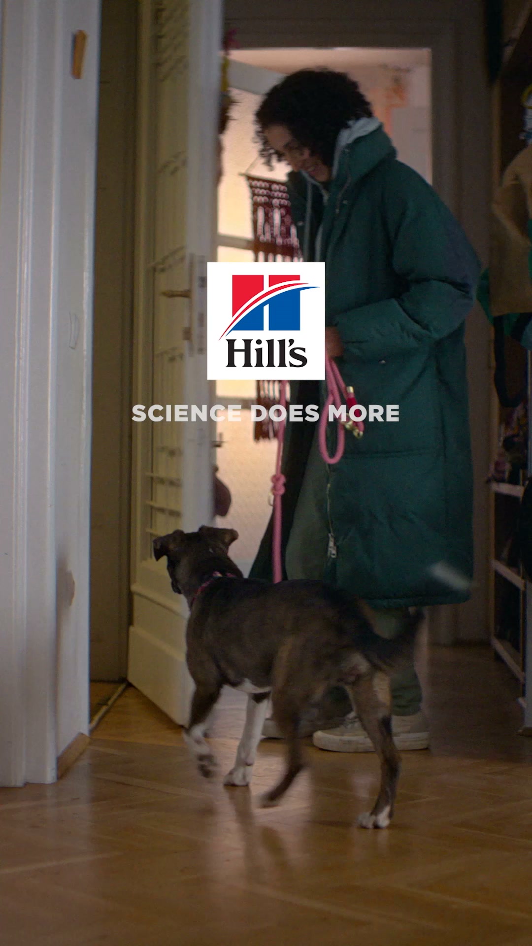 Hill’s Pet Nutrition UAE Facebook ad from Jun 30, 2026