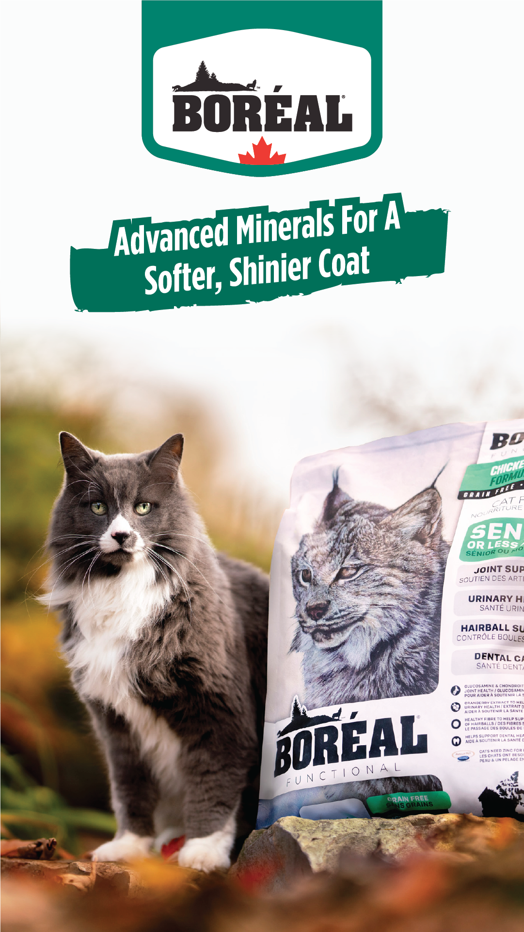 Boréal Pet Food Facebook ad