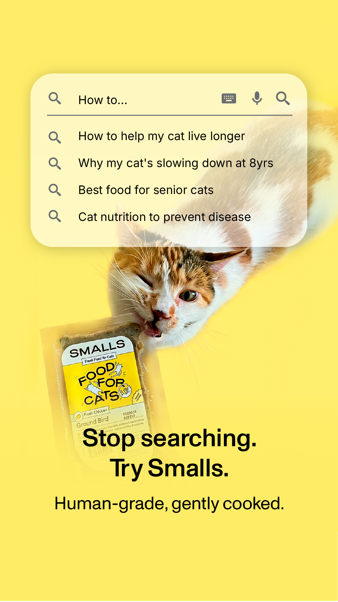 Smalls Facebook ad