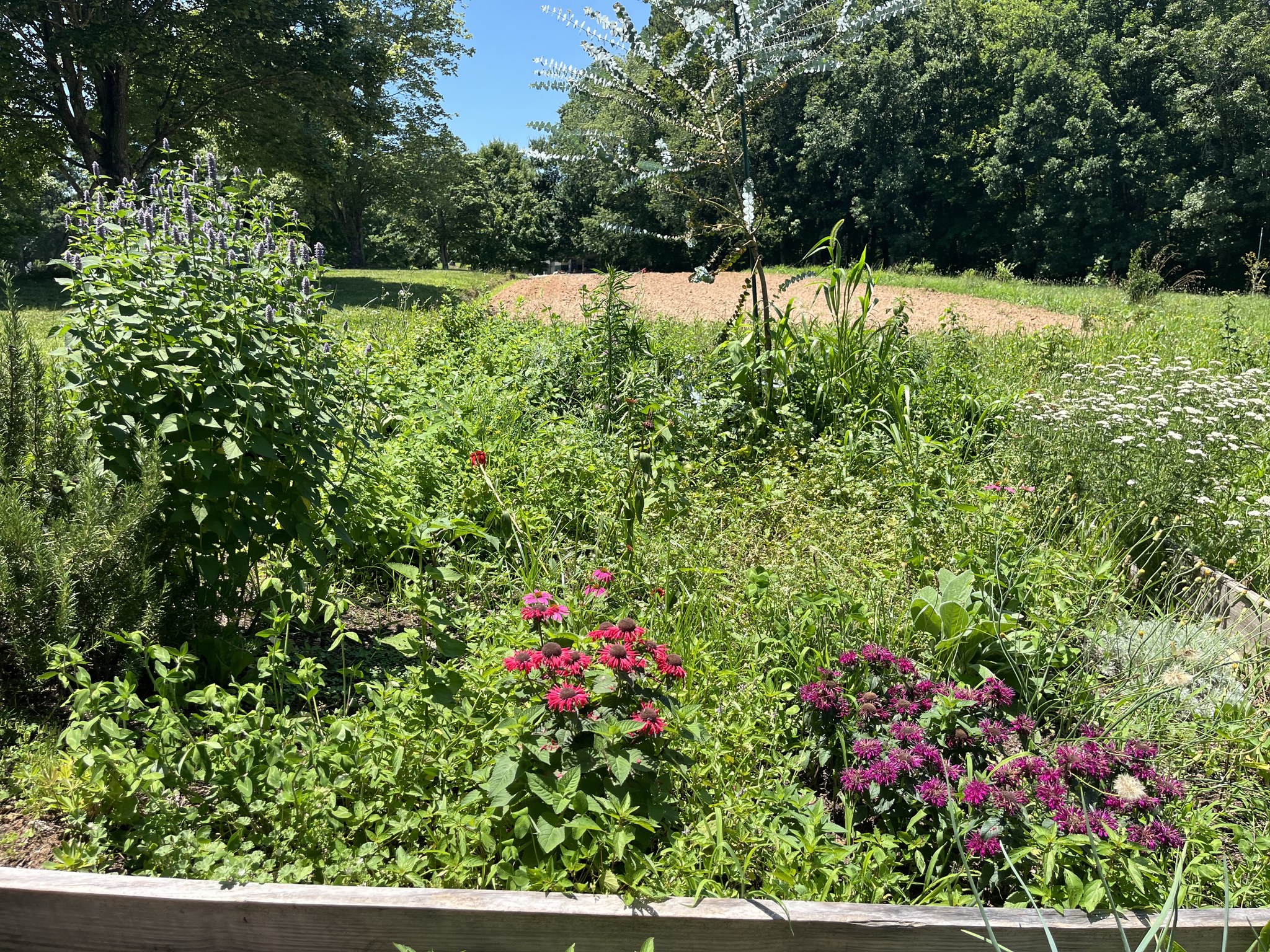 Apex Defense Group Facebook ad: Survival Skills Workshop: Medicinal Gardening 101