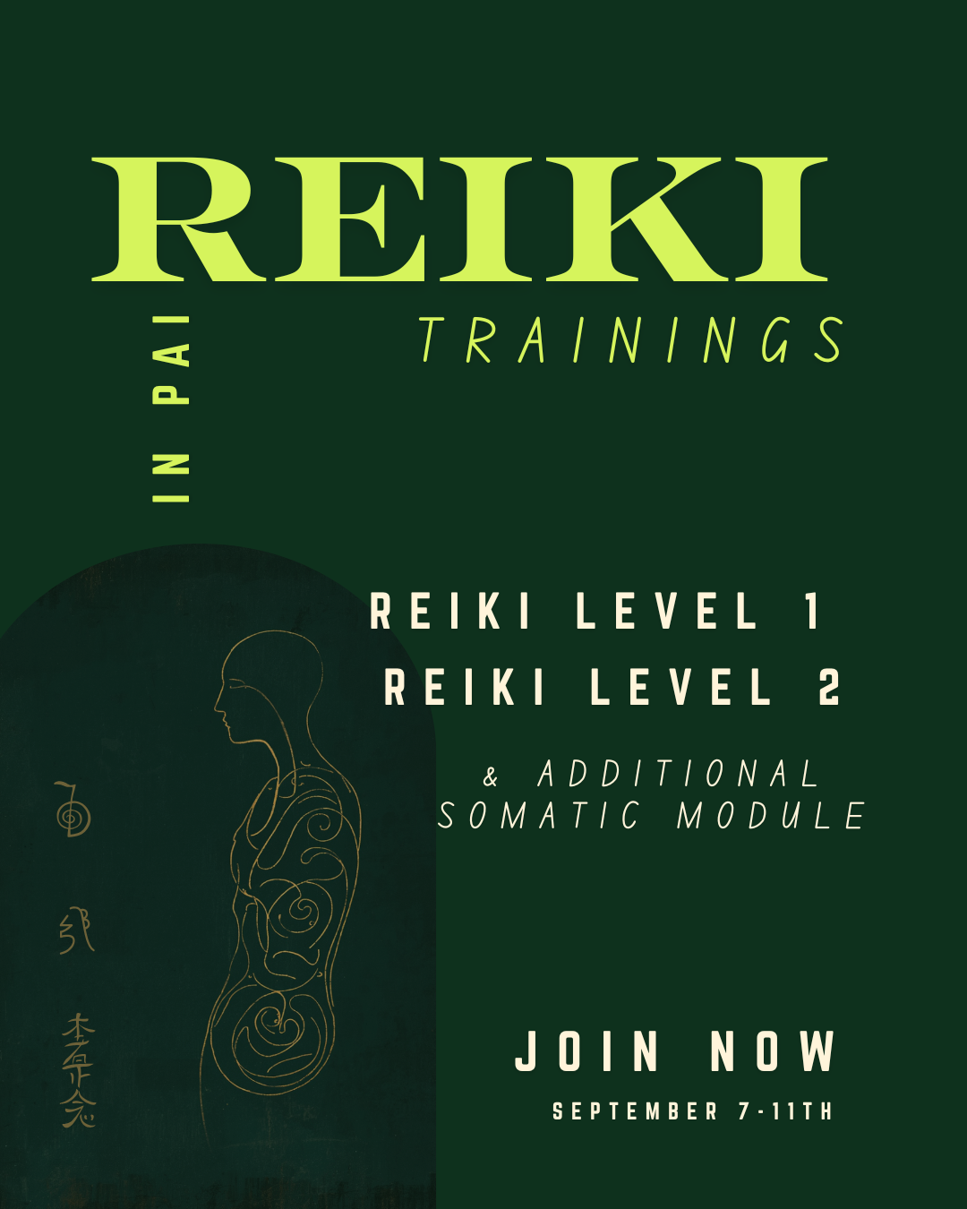 Omer Nisim Holistic Therapy Facebook ad: Become a Reiki practitioner, somatic-informed
