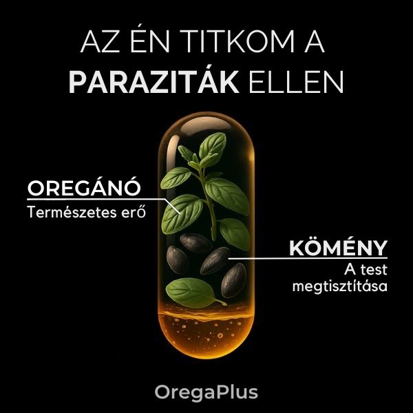 Aranykor Ház Facebook ad: Spórolj 50%-ot