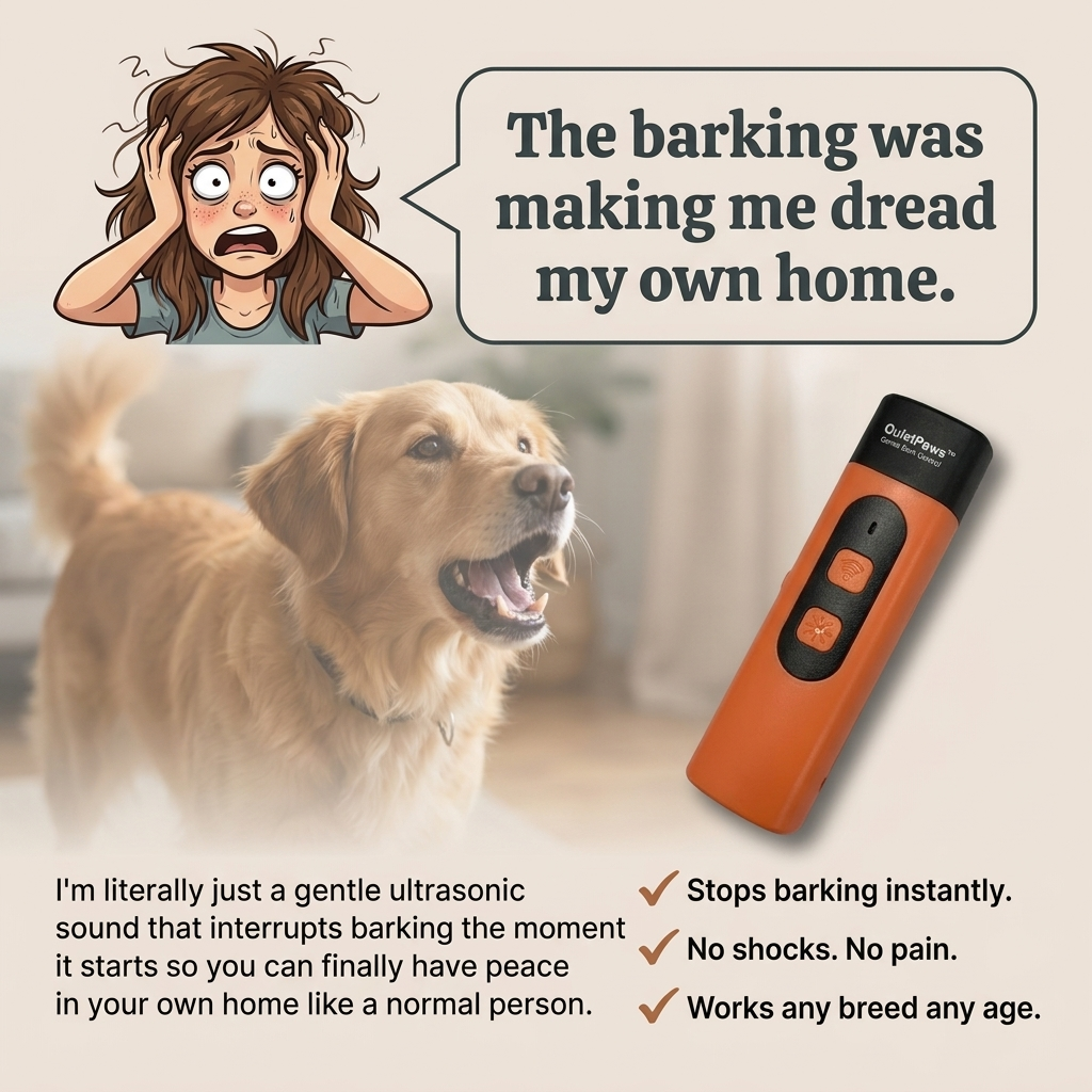 Hunters Doggy Daycare Facebook ad