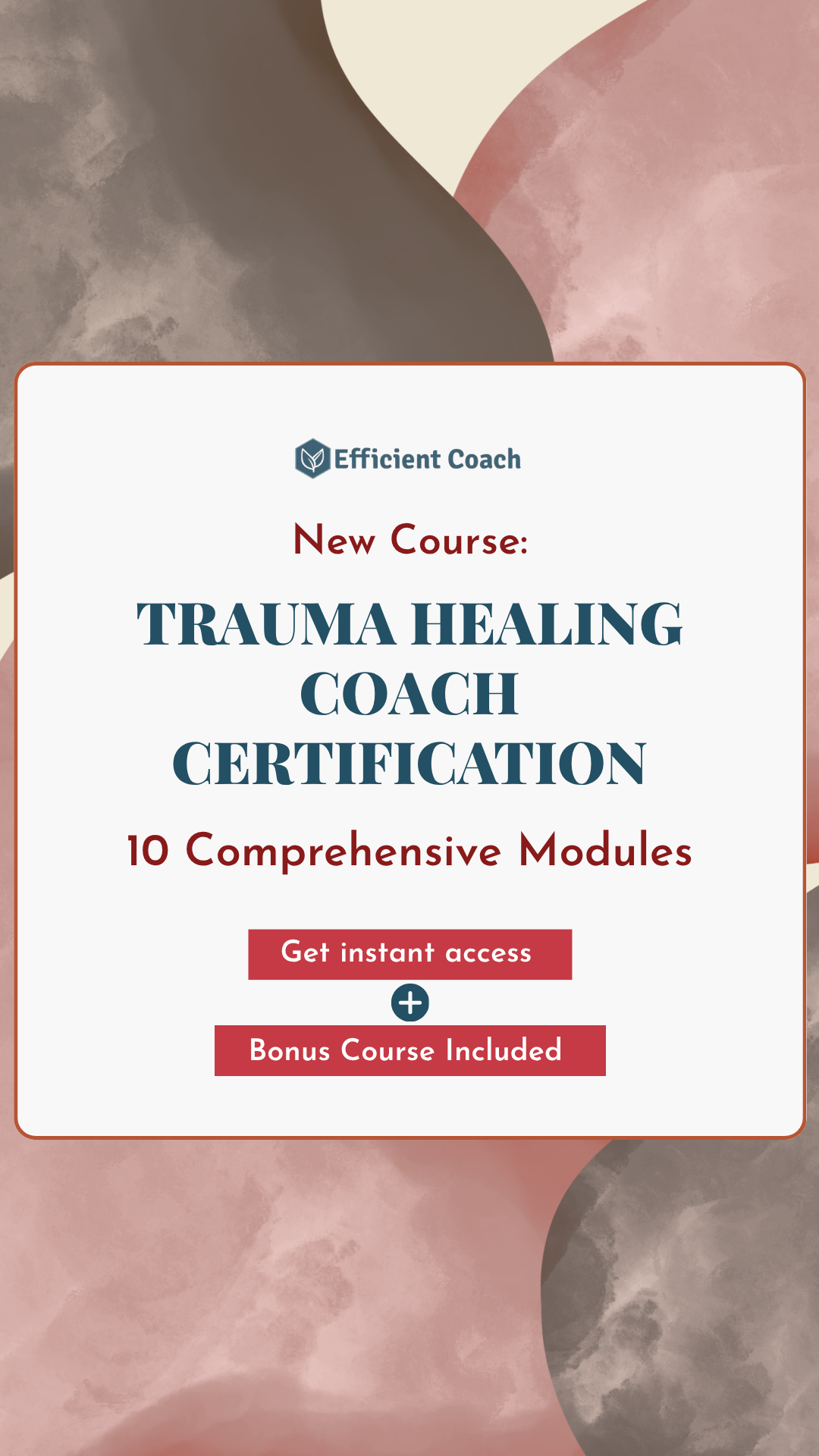 Efficient Coach Facebook ad
