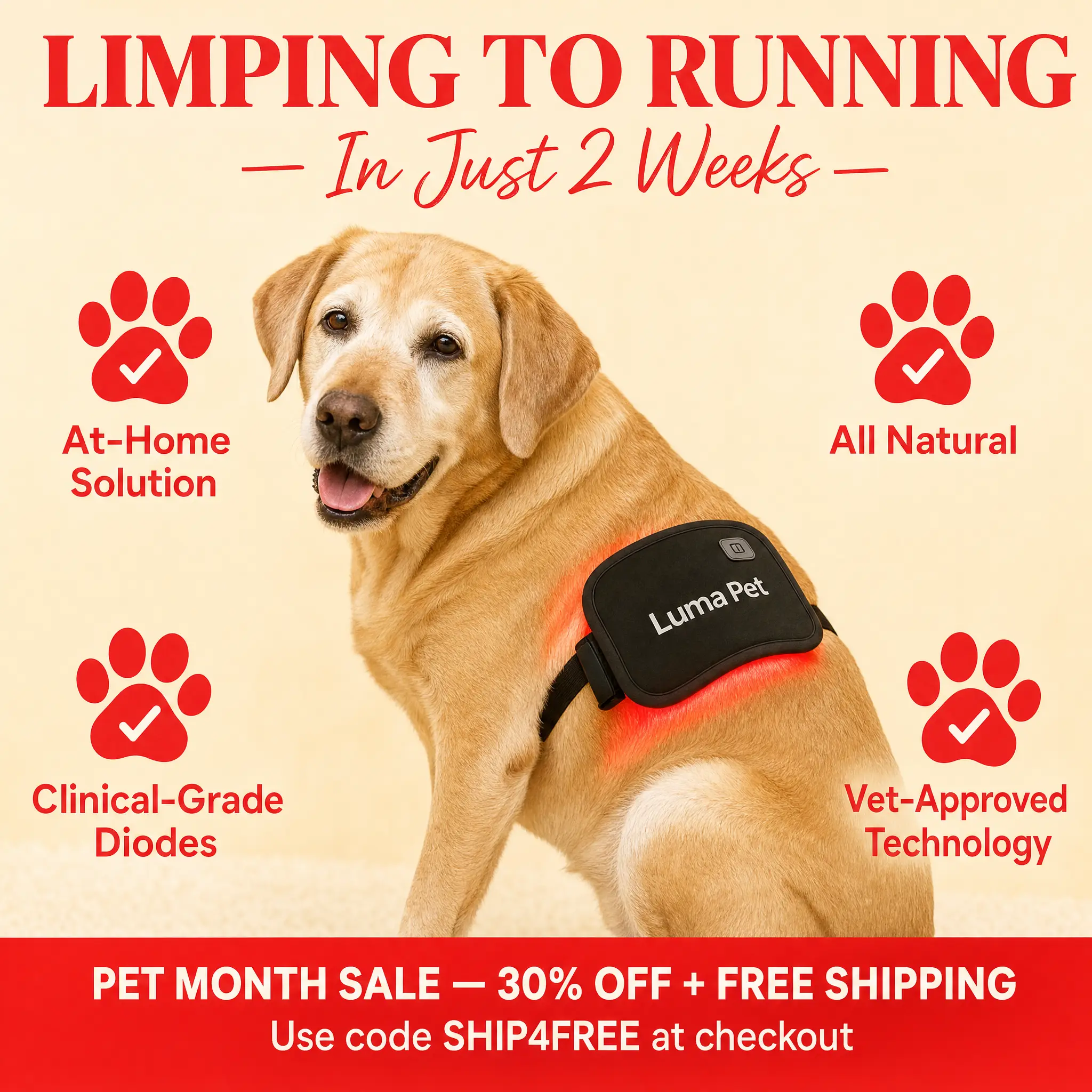Luma Pet Facebook ad
