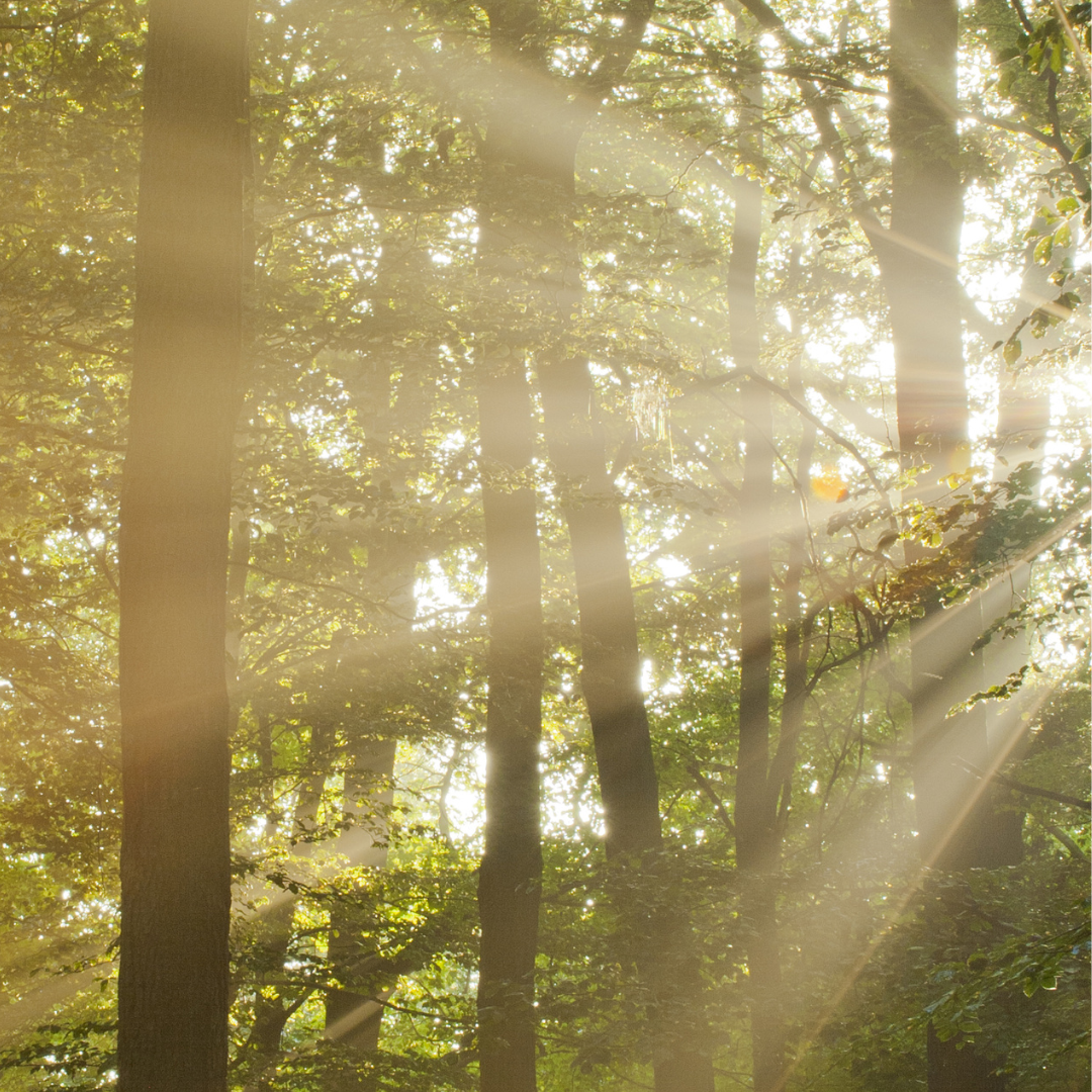 Practical Enlightenment Facebook ad: See Beyond the Stories