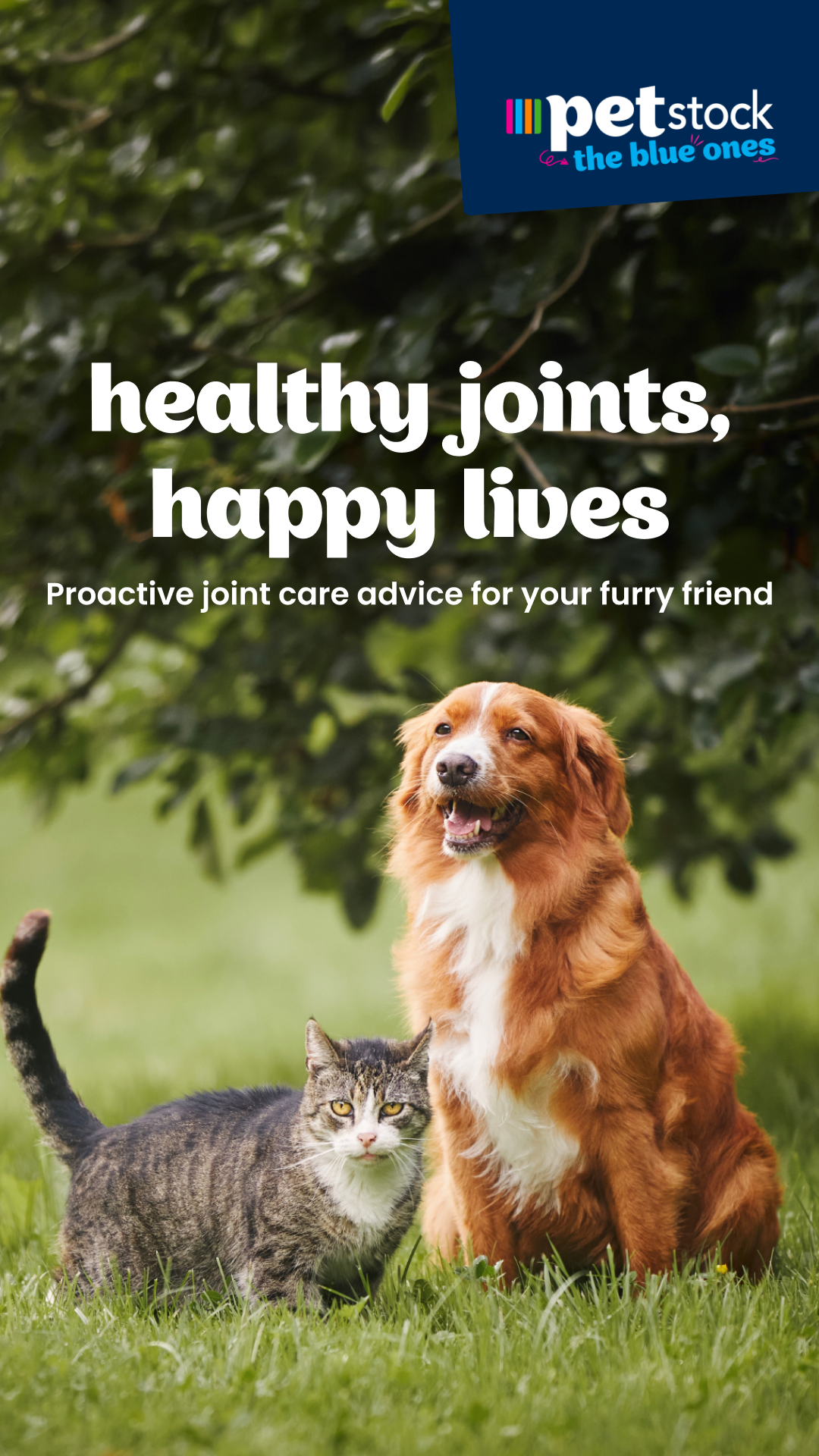 Petstock Facebook ad