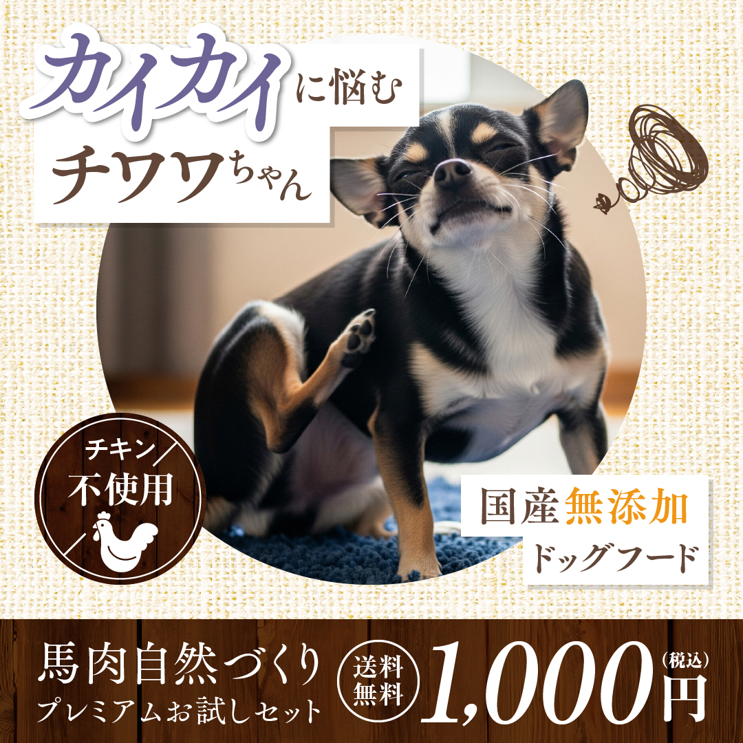健康いぬ生活 Facebook ad