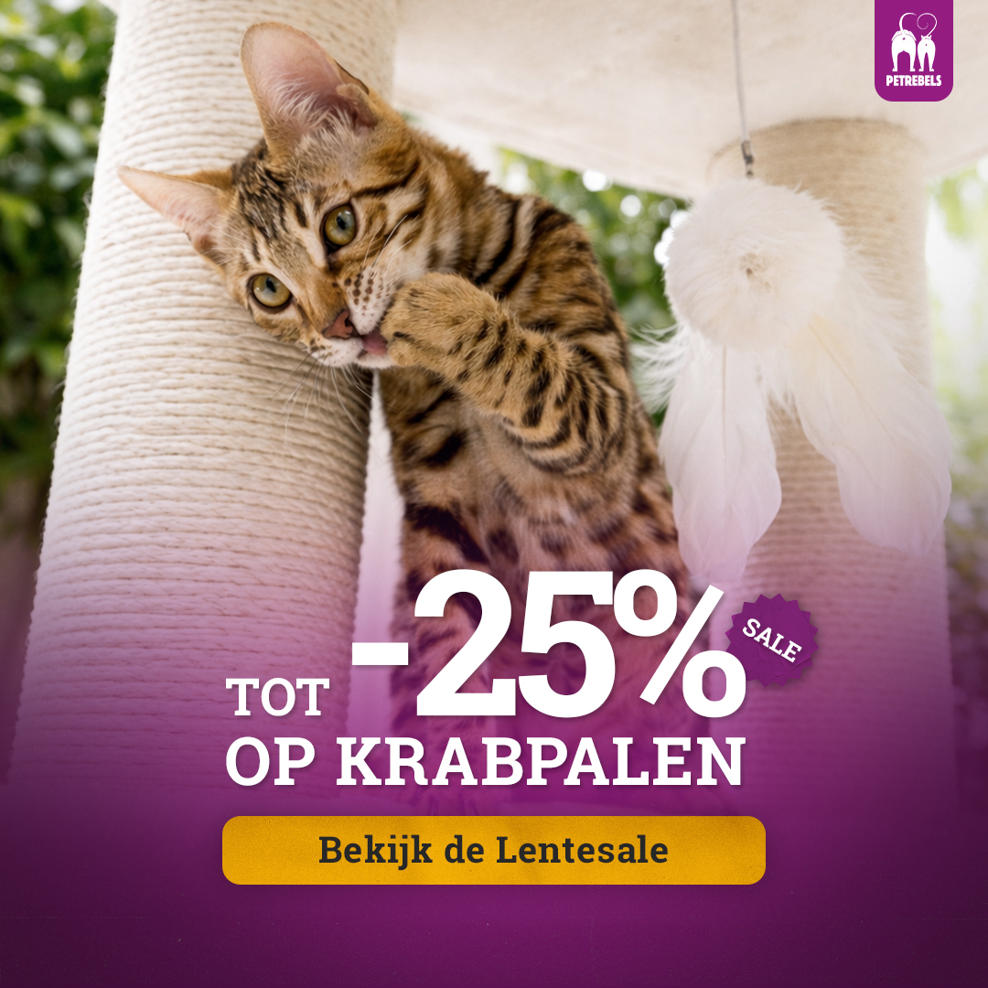 petrebels.com Facebook ad