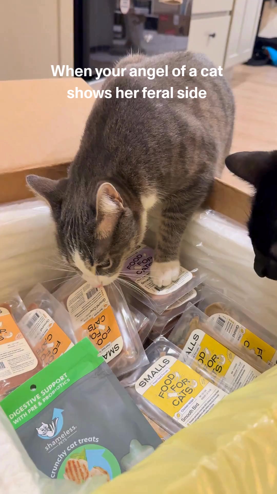 Smalls Facebook ad: Human-Grade Fresh Cat Food