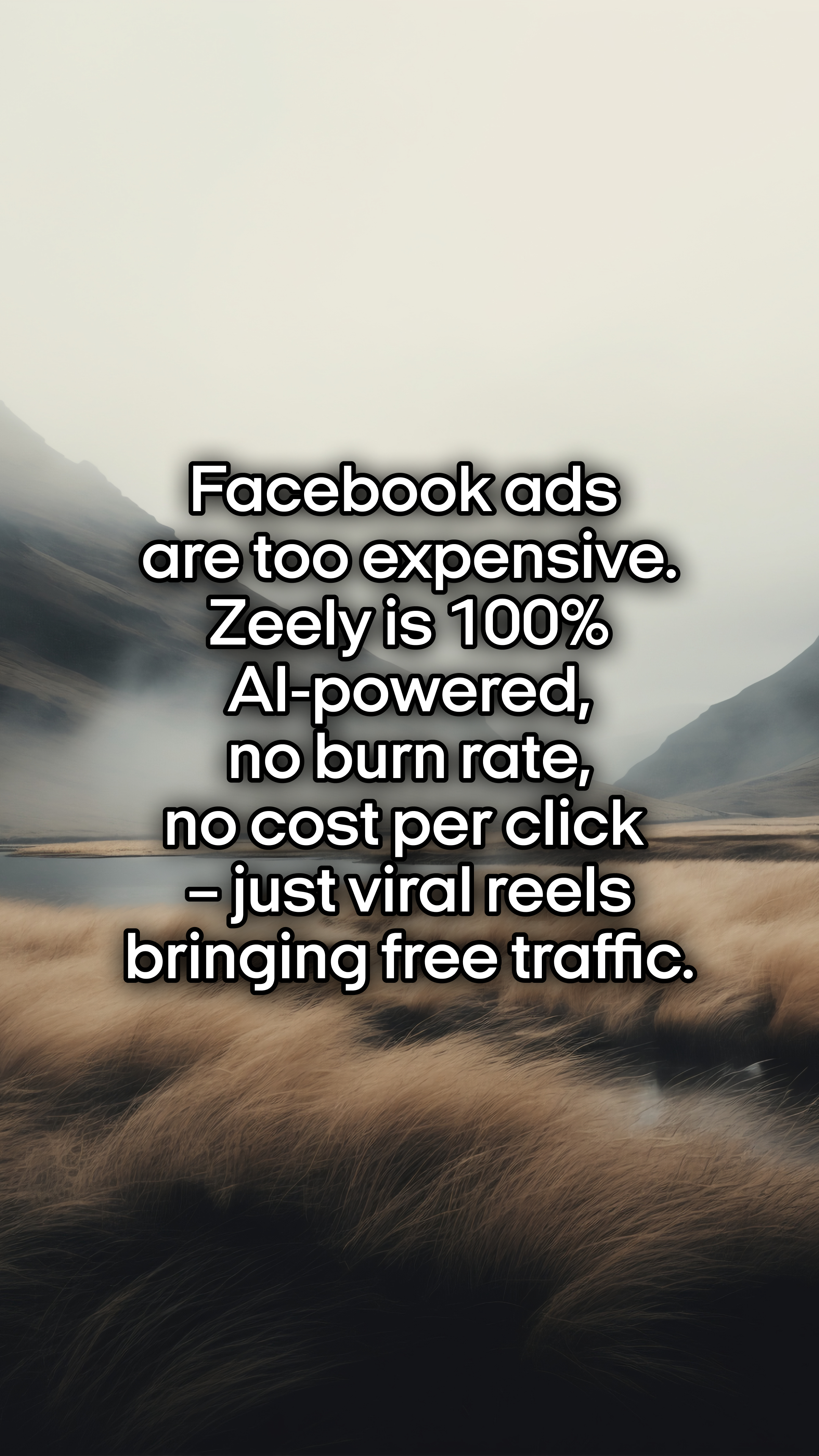 Zeely Facebook ad