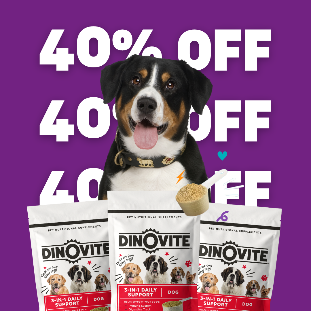 Dinovite.com Facebook ad