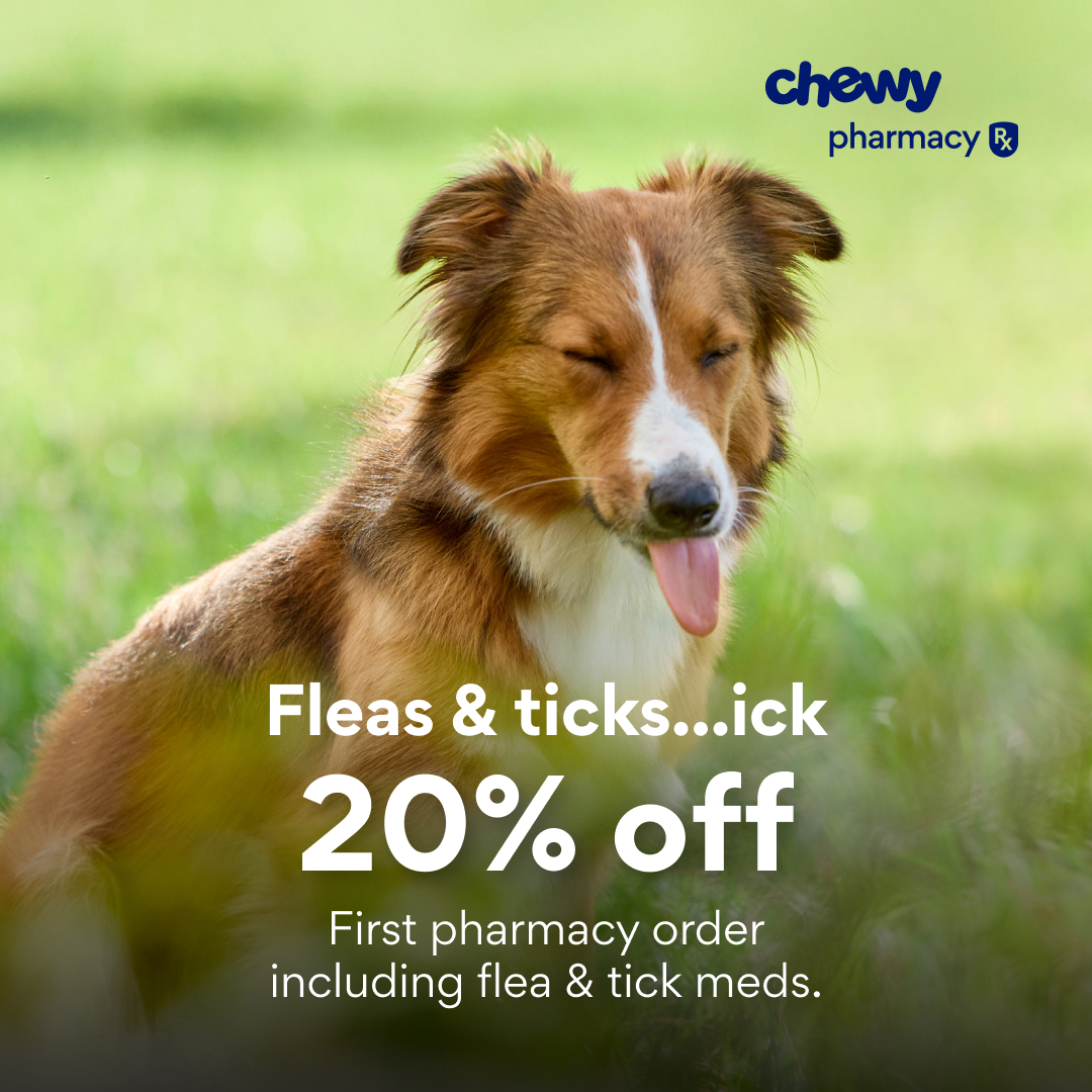 Chewy Facebook ad