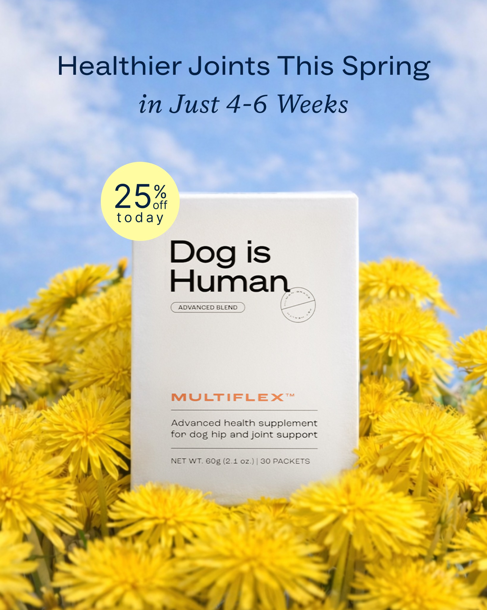 Dog is Human Facebook ad