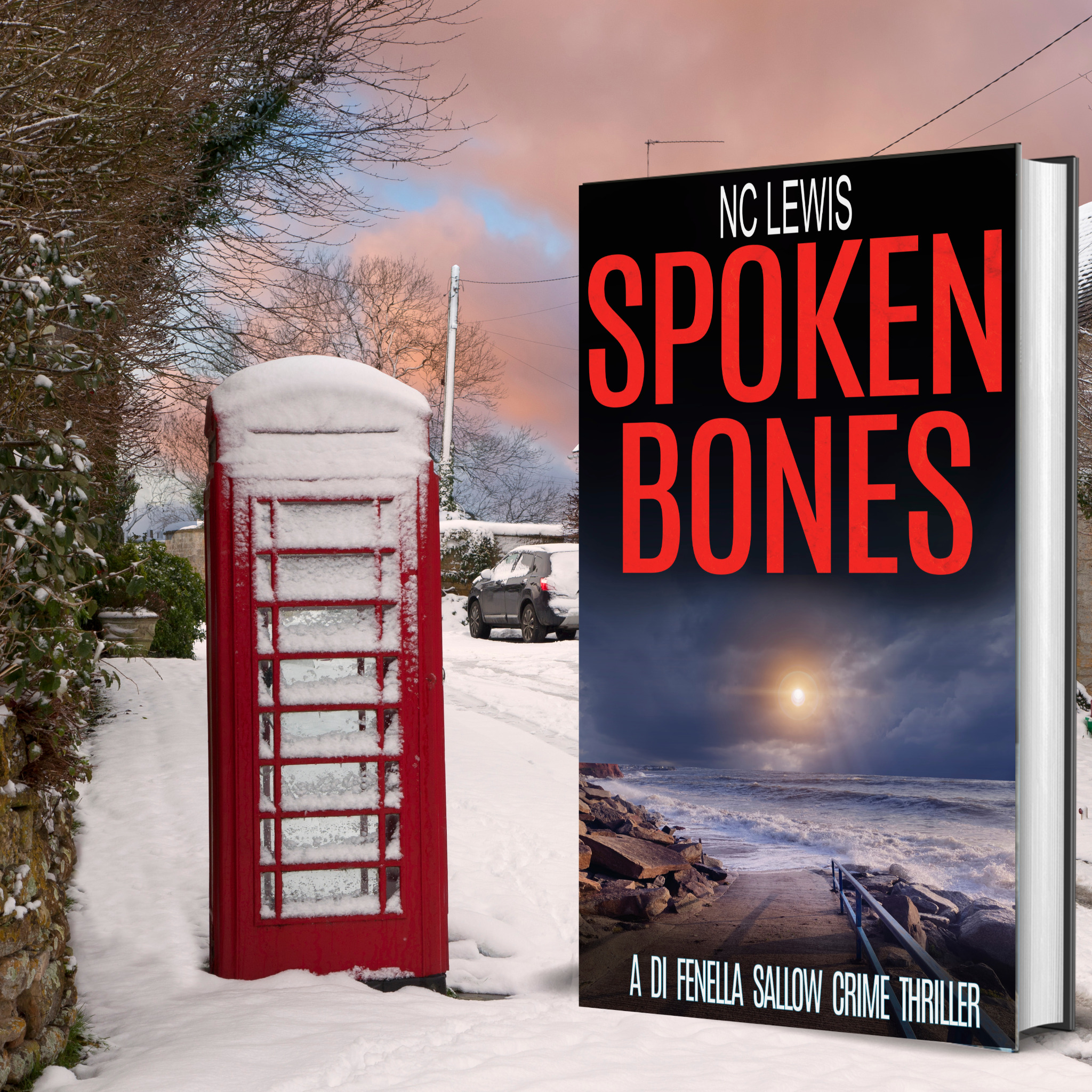 NC Lewis - Author Facebook ad