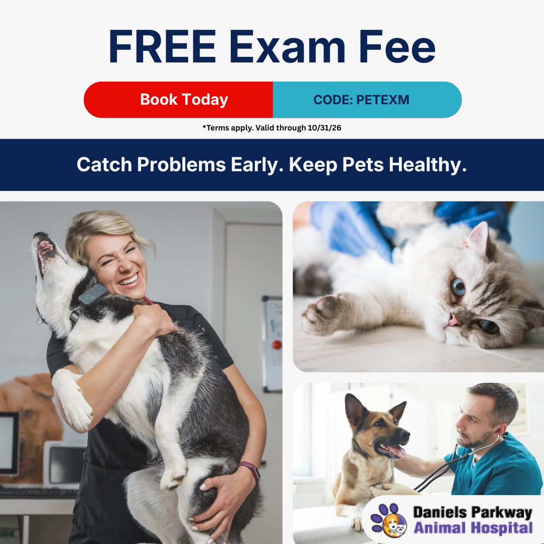 Daniels Parkway Animal Hospital Facebook ad: It's Been A While. Let's Check In.