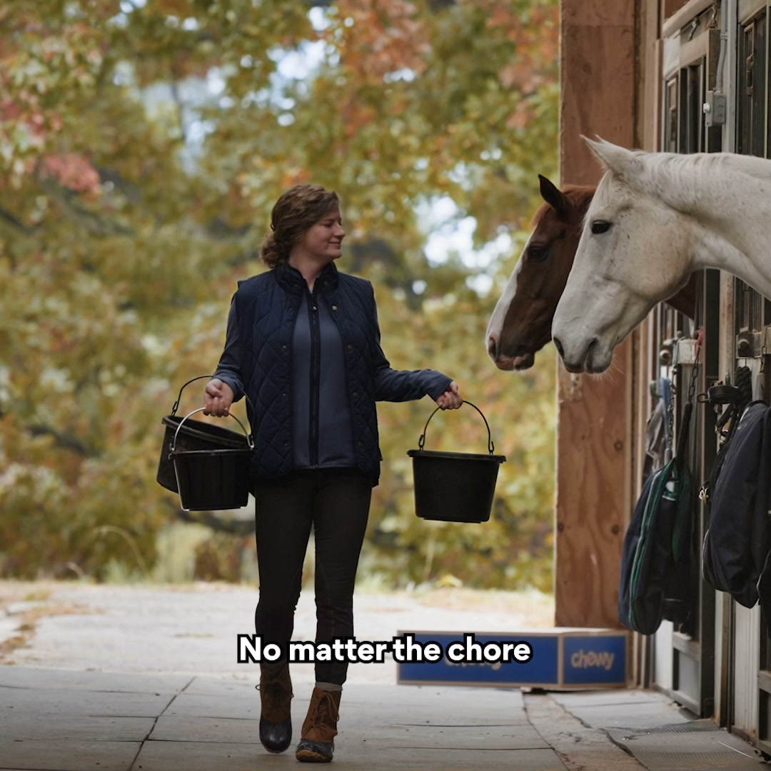 Chewy Facebook ad: For every chore and weather